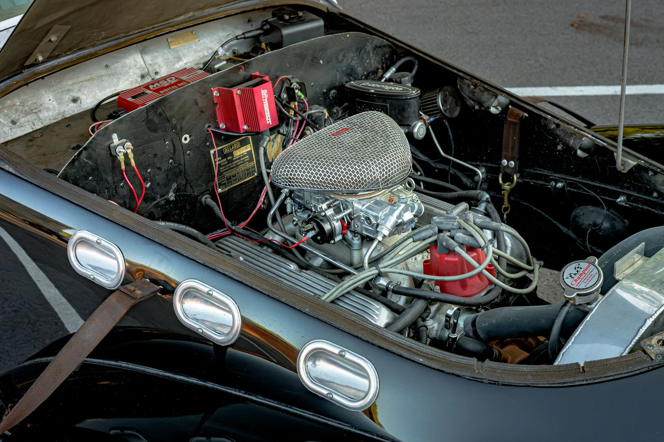 Allard2-90.jpg