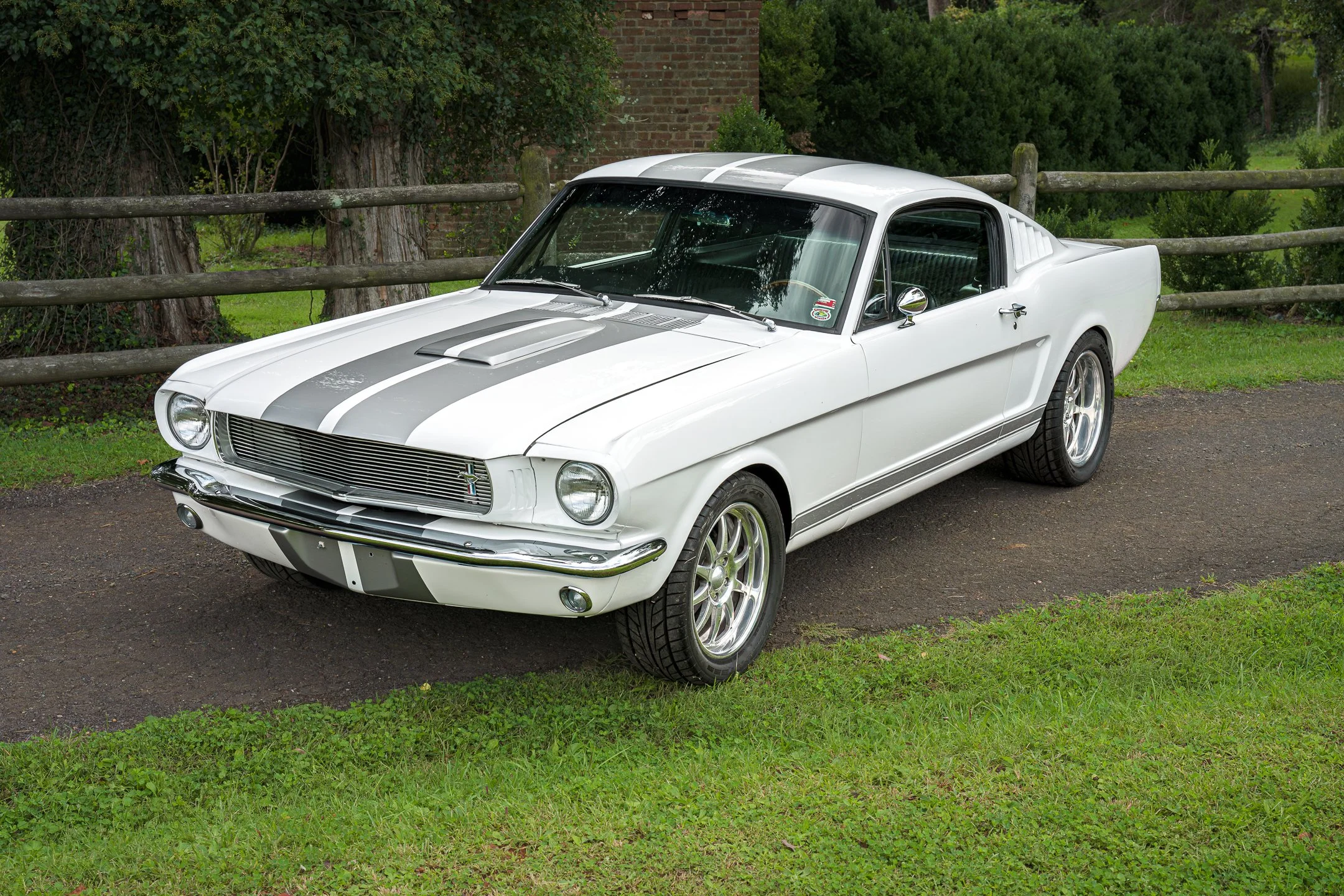 Mustang-10.jpg