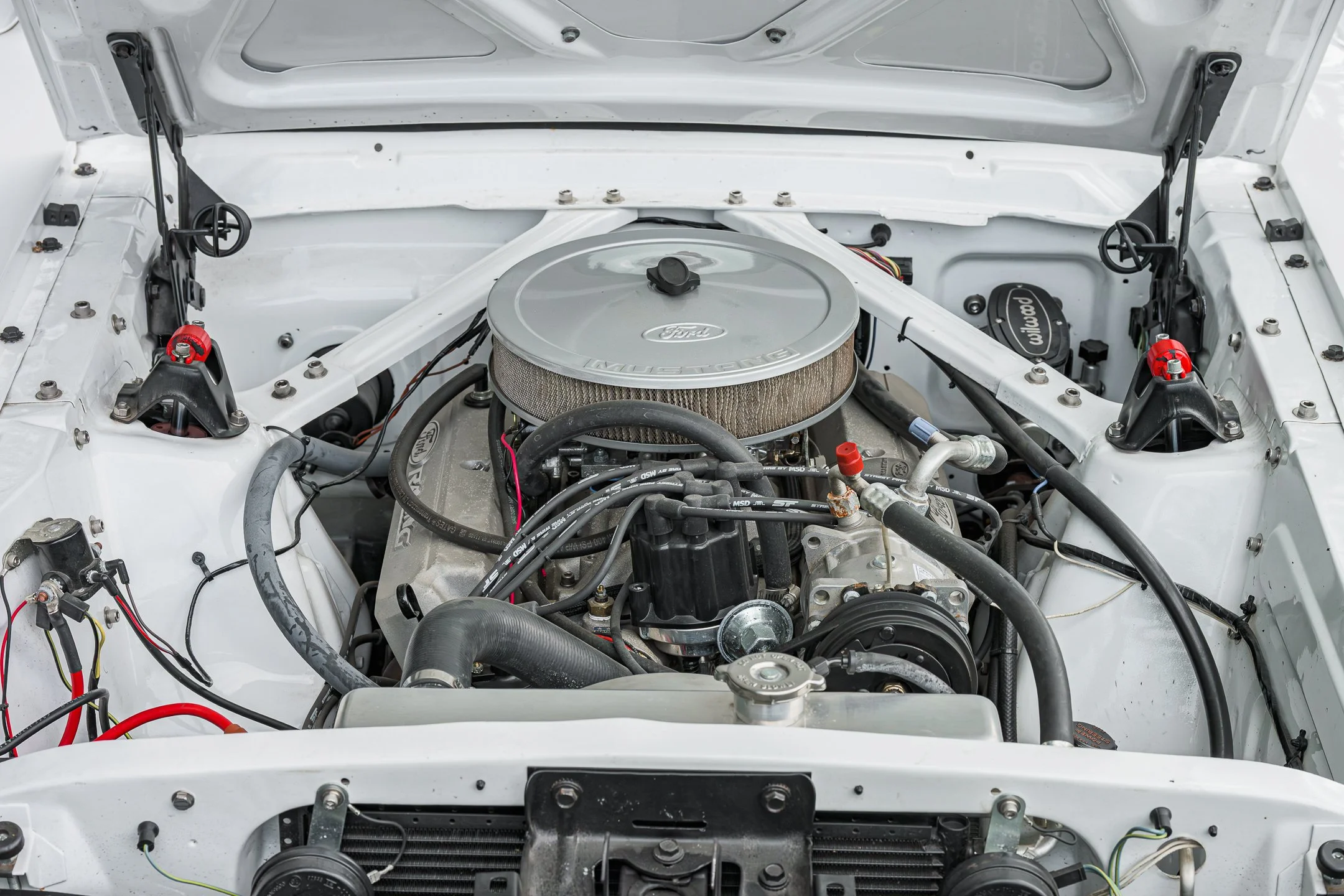 Mustang-56.jpg