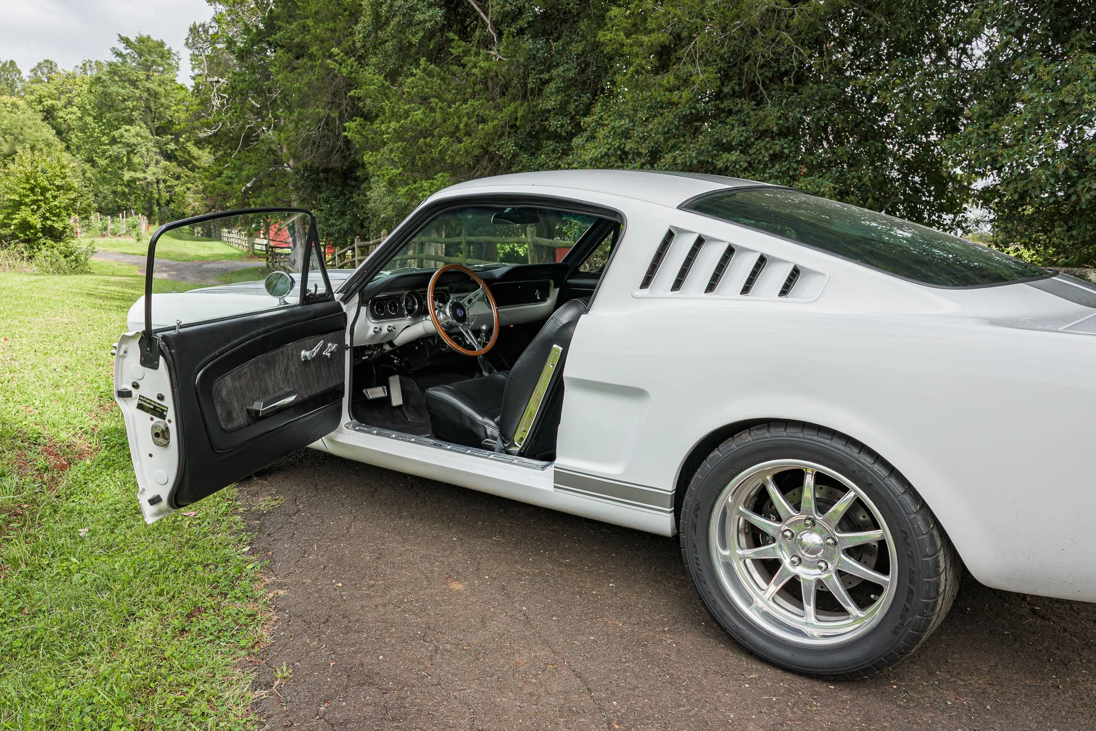Mustang-62.jpg