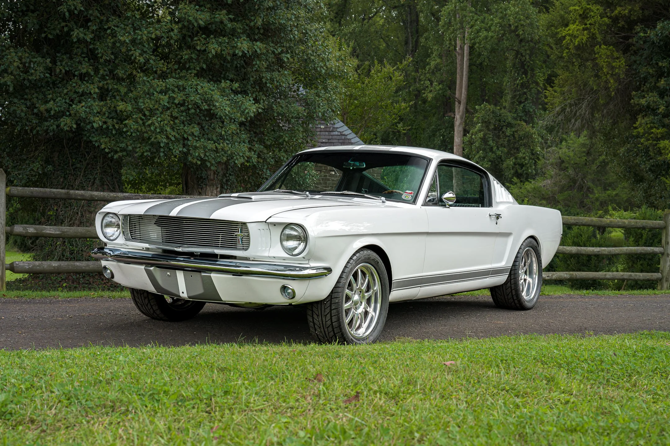 Mustang-12.jpg