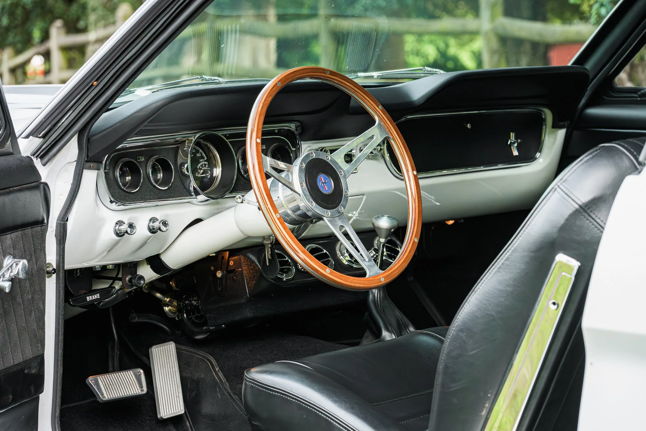 Mustang-63.jpg