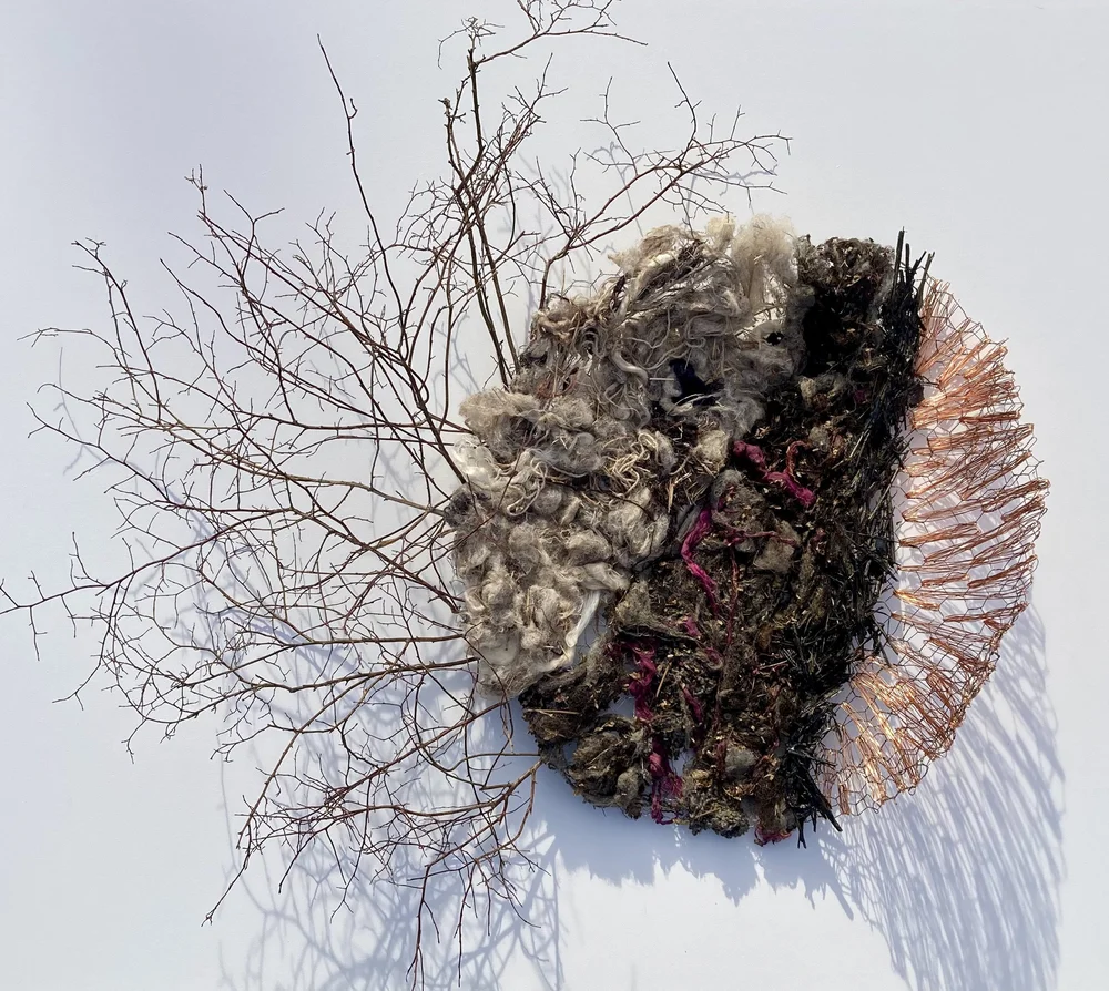 Claire Lima. Universal Terrain. Foraged natural materials, organic and synthetic fibers, and steel and copper wire. 44”H x 48”W x 18”D