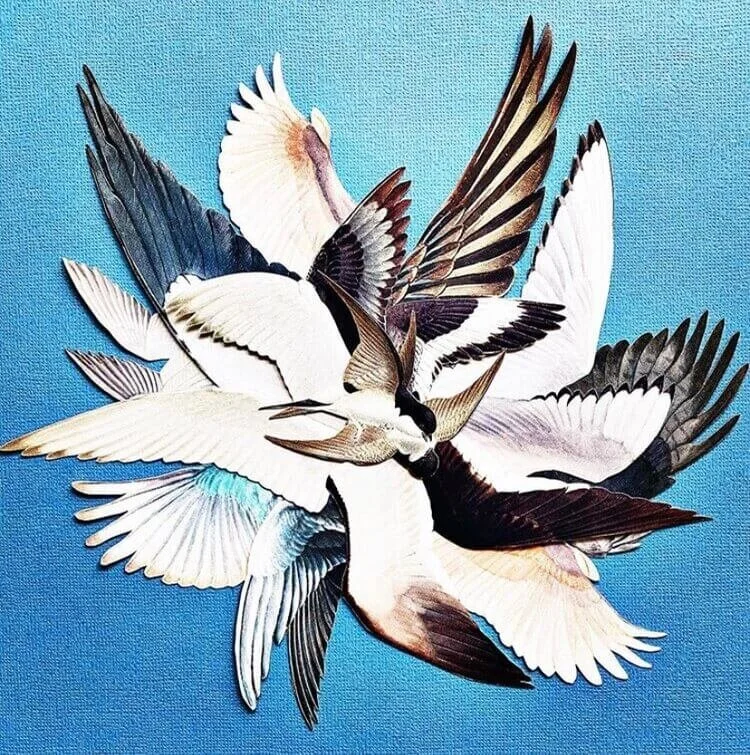 Lara Fredrick: A World of Wonder and Whimsy