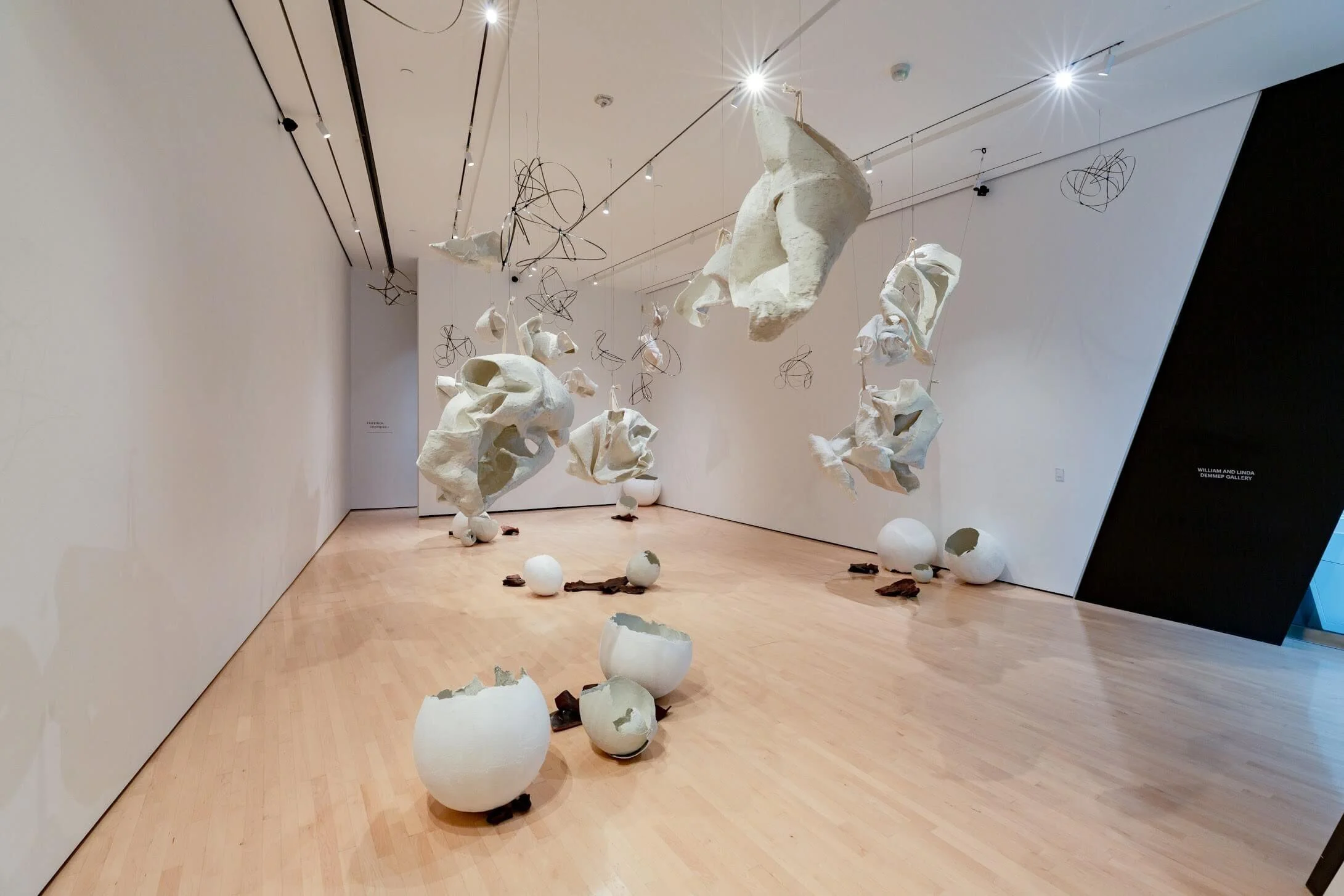 Rebecca Casement: Strength &amp; Fragility