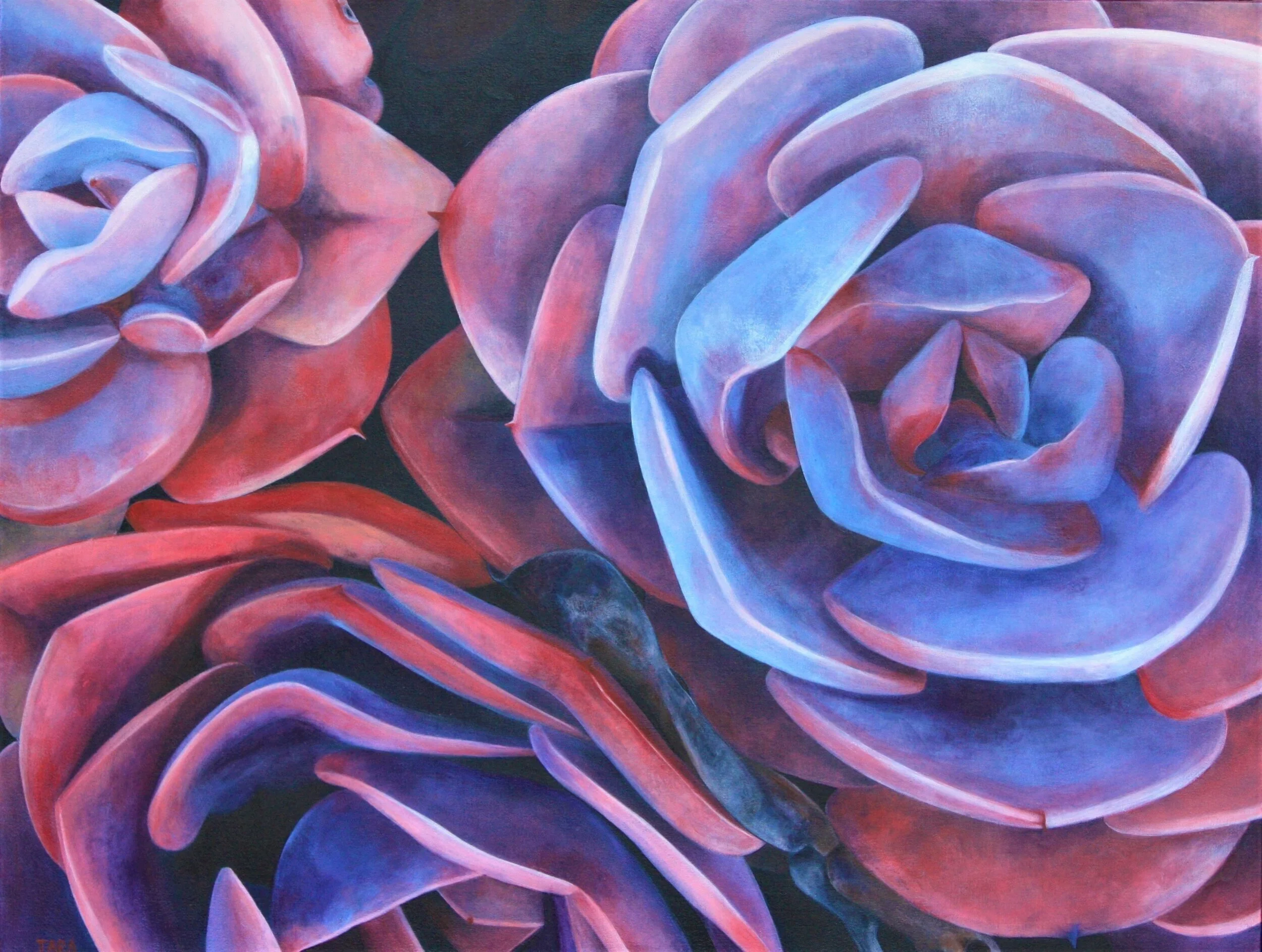 Tara Esperanza: Plant Life of the West