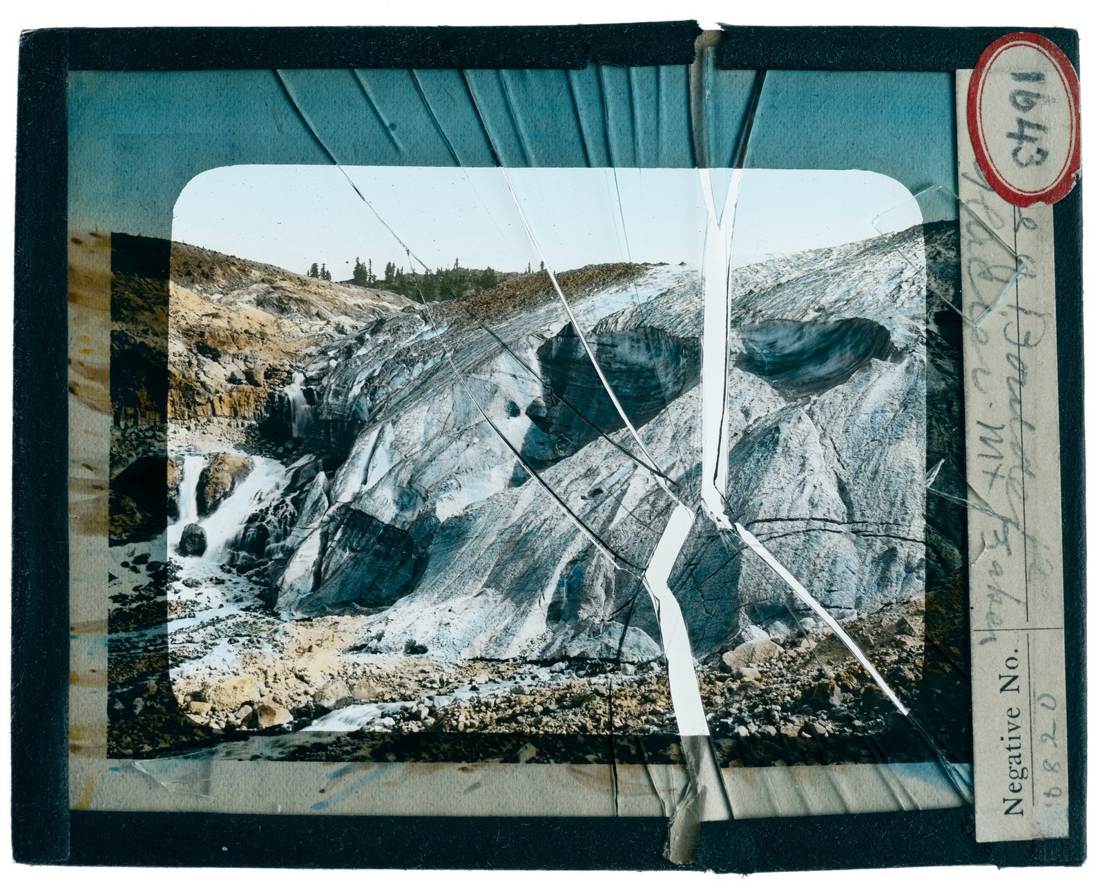 Jason Lindsey: Cultivating Environmental Awareness Through Art