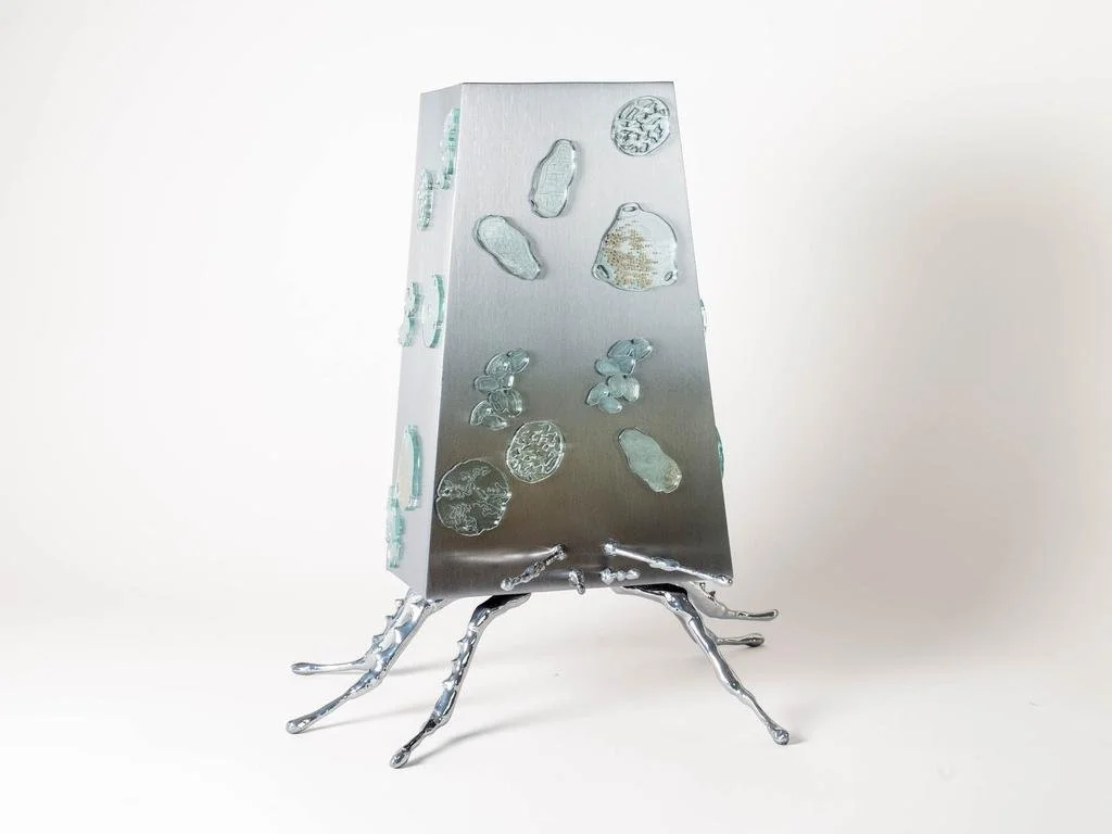 Fanni Somogyi: Interspecies Connections