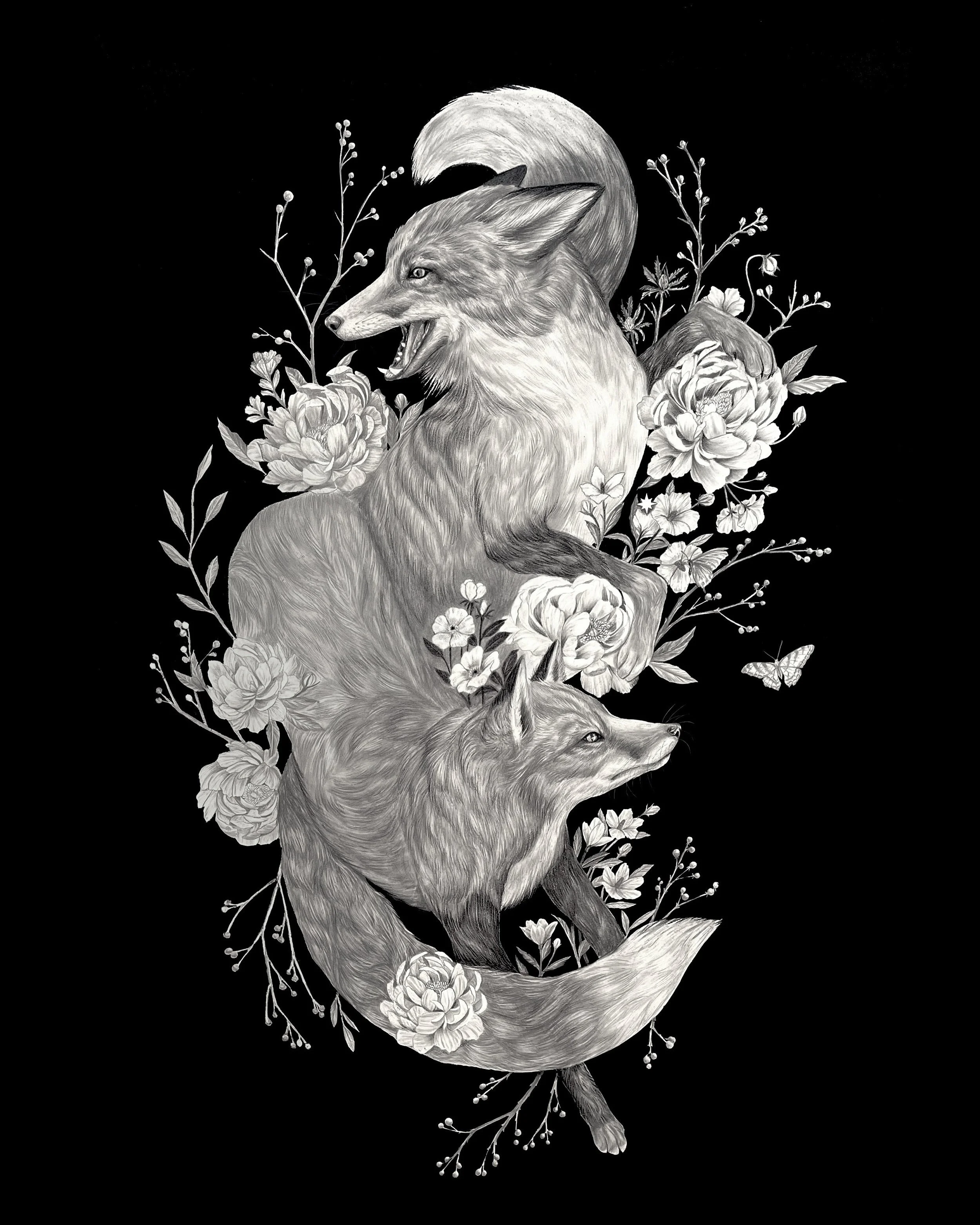 Kayla Anley: An Exploration of Life and Mortality