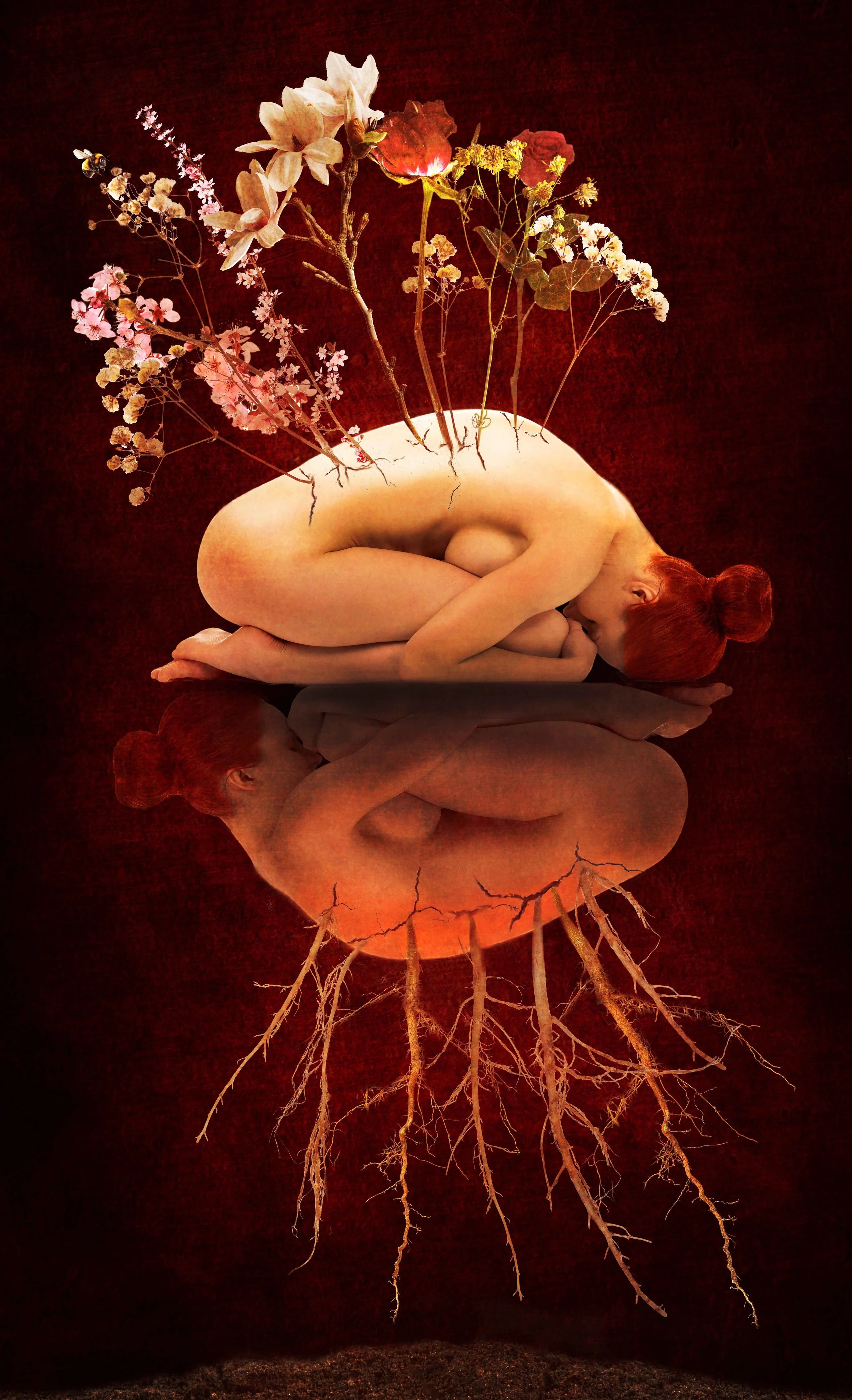 Vanessa Wenwieser: Transcendent Darkness