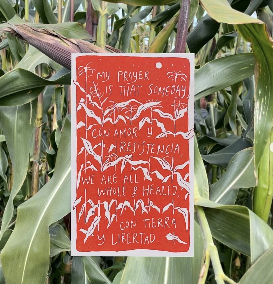 Untitled, 2024, ink on paper and digital editing, 6 x 6 inches.