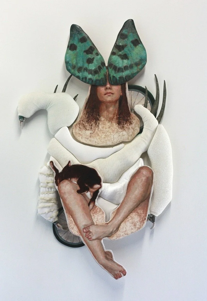 Amy J. Dyck: Healing &amp; Adapting