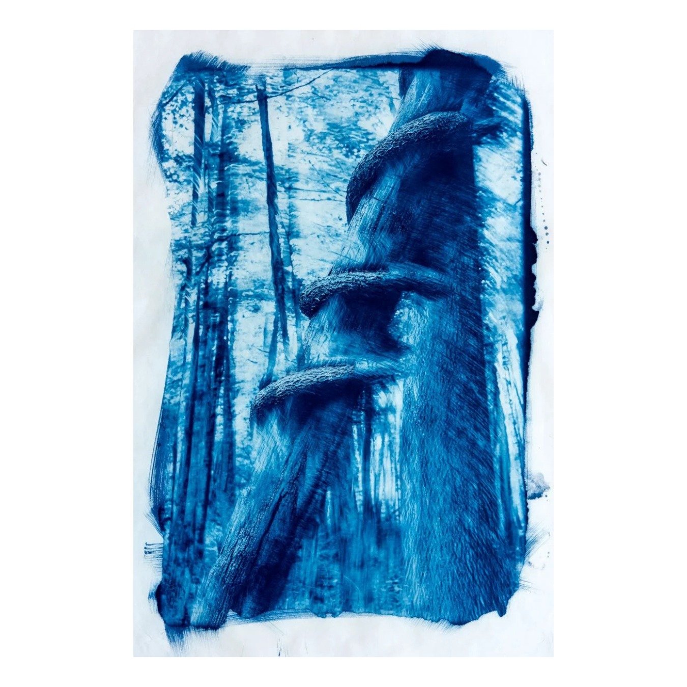 Awry
Cyanotype
15 x 22 in
By @rebeccaclarkphoto

Like Water From a Rock
installation with photo collage, paper, resin, silk, wire, cast bronze, steel, mixed media, augmented reality 
34 x 32 x 9 in
By @donnazarbinbyrneart

What Gathers Becomes
Nylon,