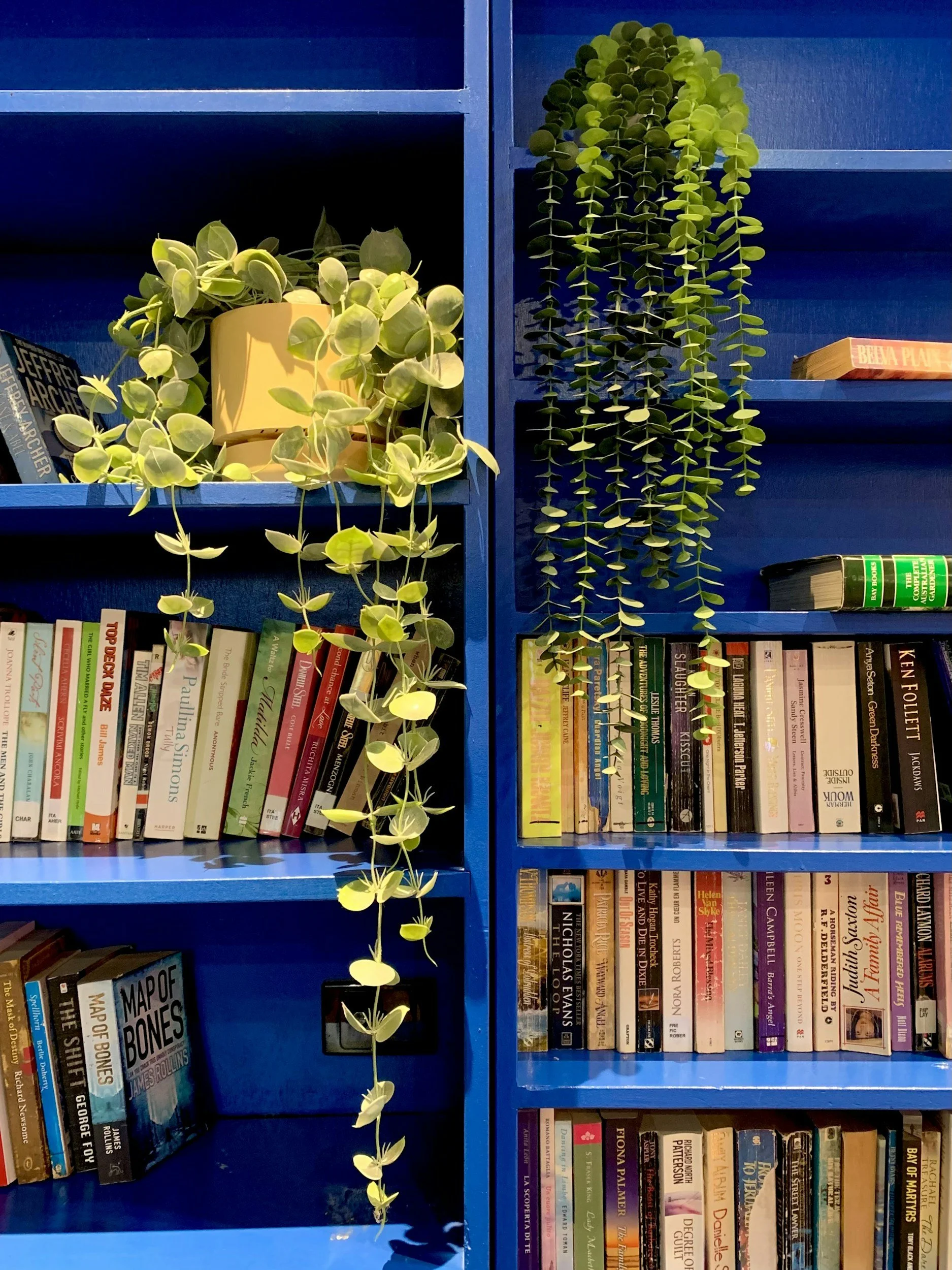 Blue bookshelf filled with various books, with green hanging plants and a yellow pot.