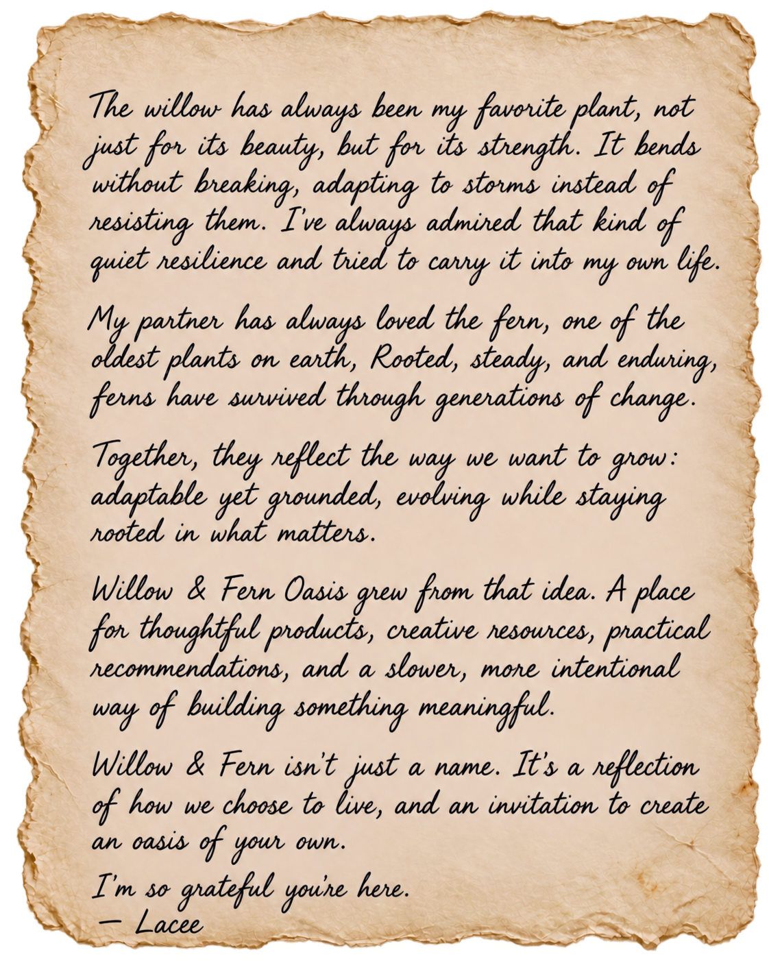 A handwritten note on a textured, aged-looking paper with burned edges, describing admiration for the resilience of a willow tree and the significance of the Willow & Fern Oasis as a symbol of thoughtful living and creating personal sanctuaries.