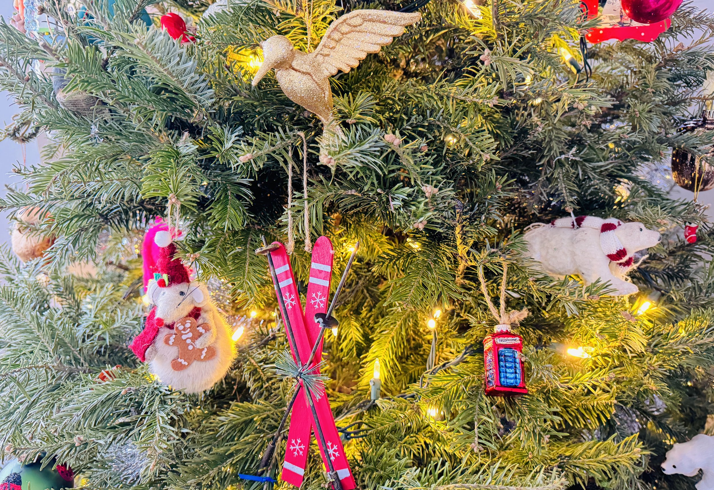 THE DISHING GIFT LIST 2025