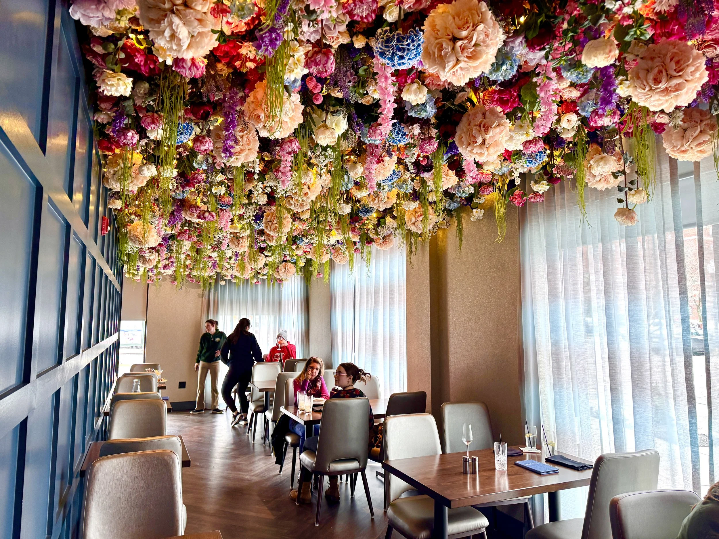 REVIEW: BLOOM, Albany