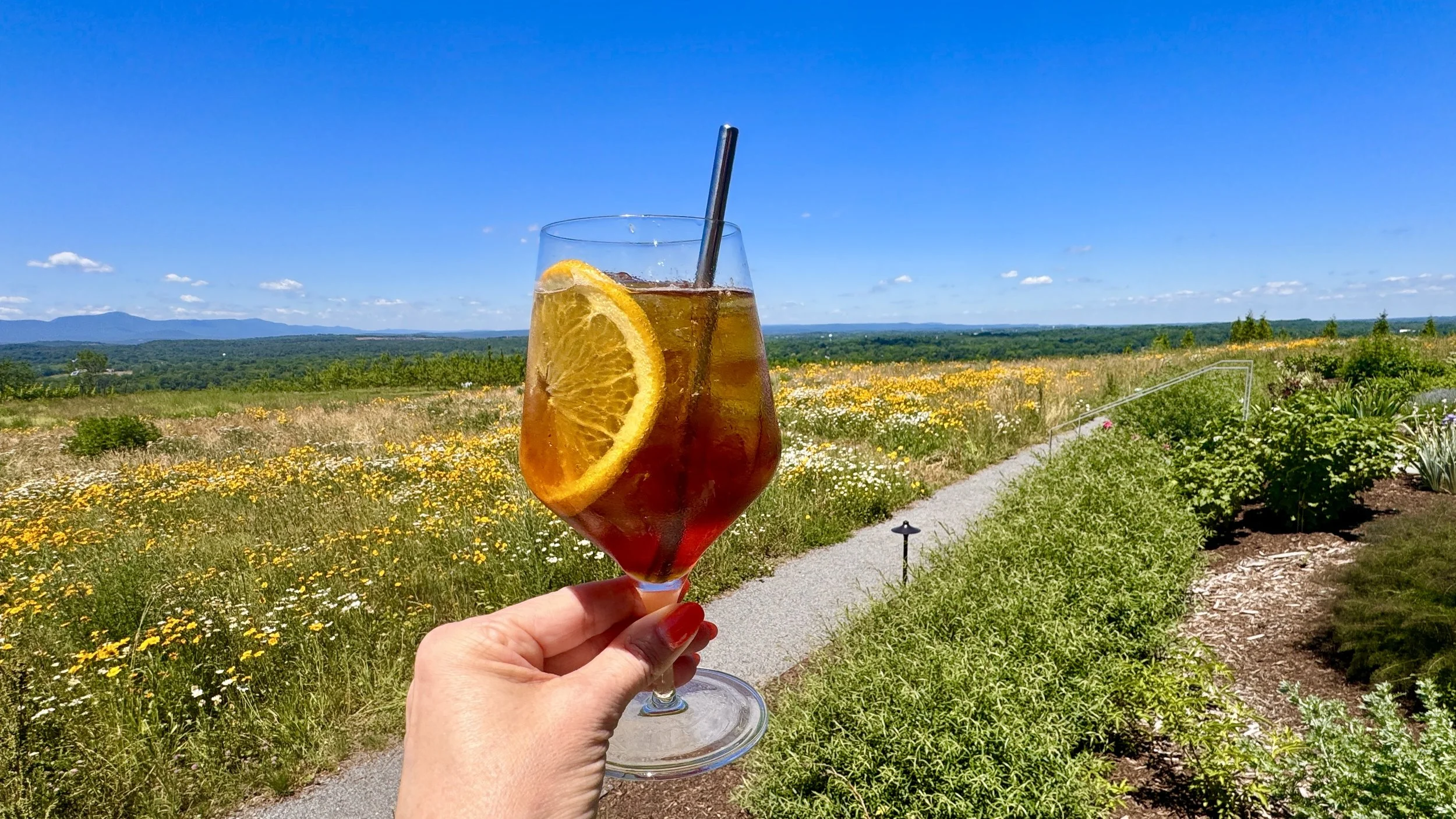 BREVIS BITTERSWEET: Klocke Estate’s Vermouth Spritz is a Pimm’s Cup Rival 