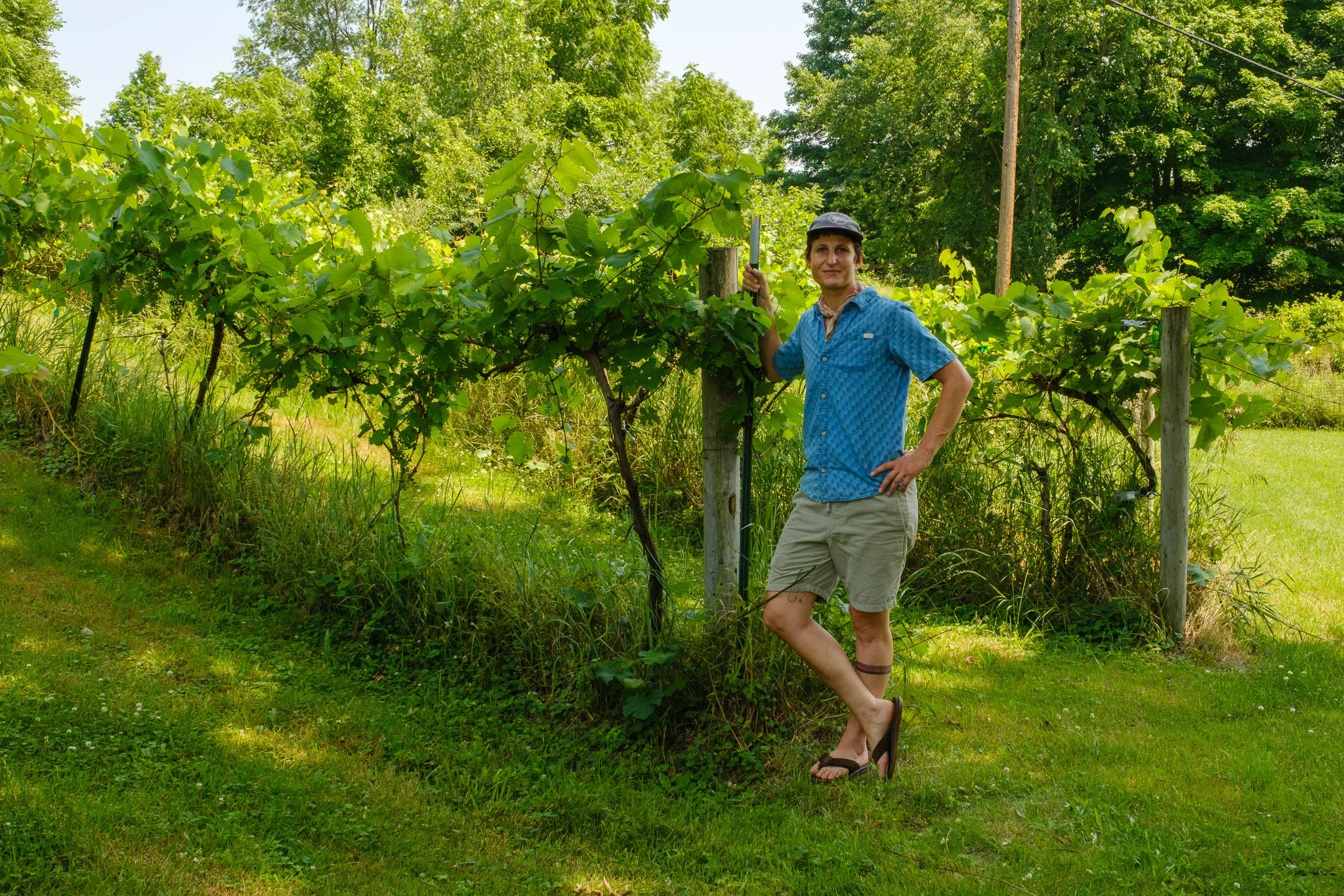 MEET: VAL FELDMAN, STABLE GATE WINERY, Castleton