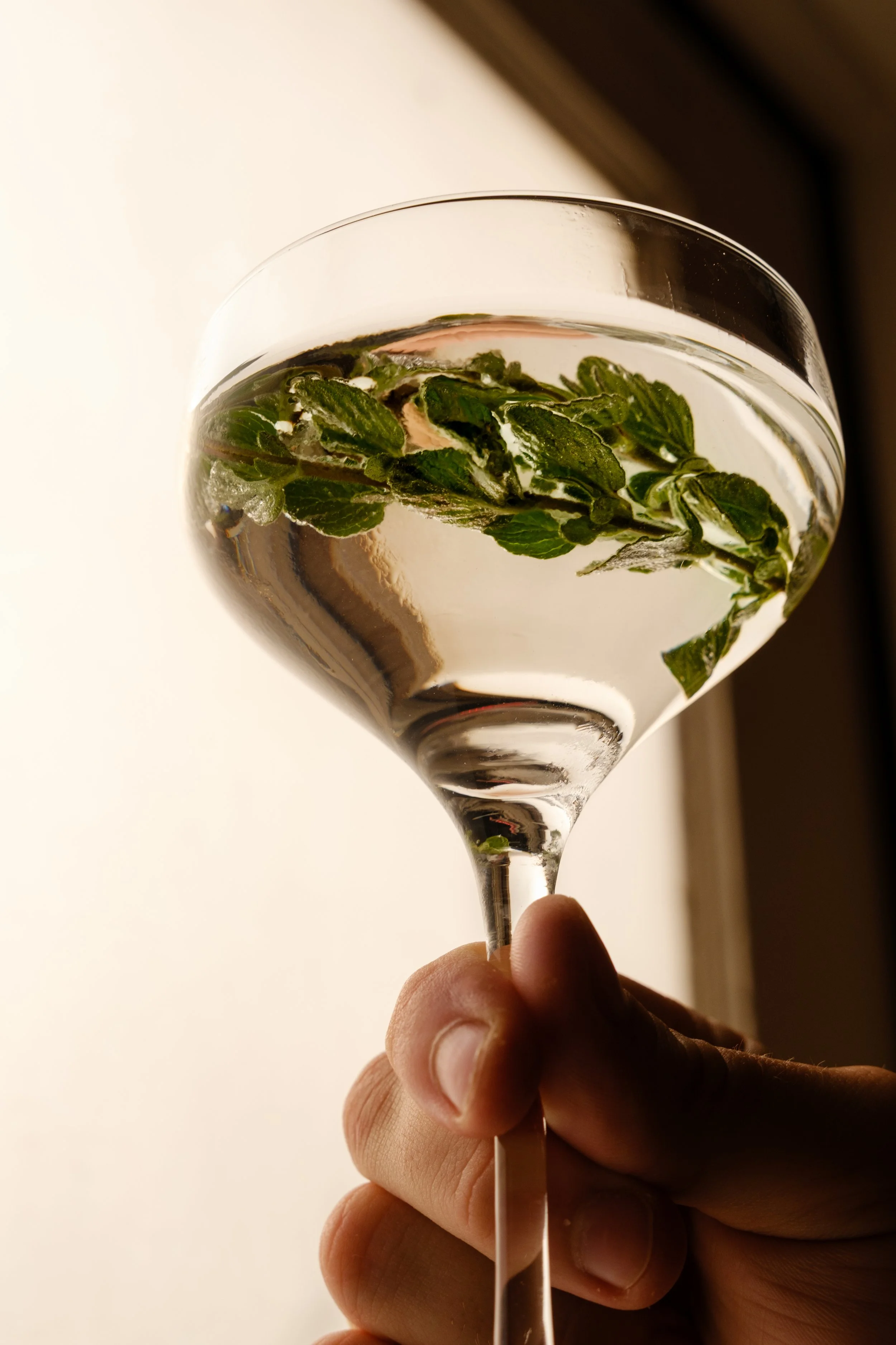 TASTE: MAJORAM MARTINI, Hamlet + Ghost 