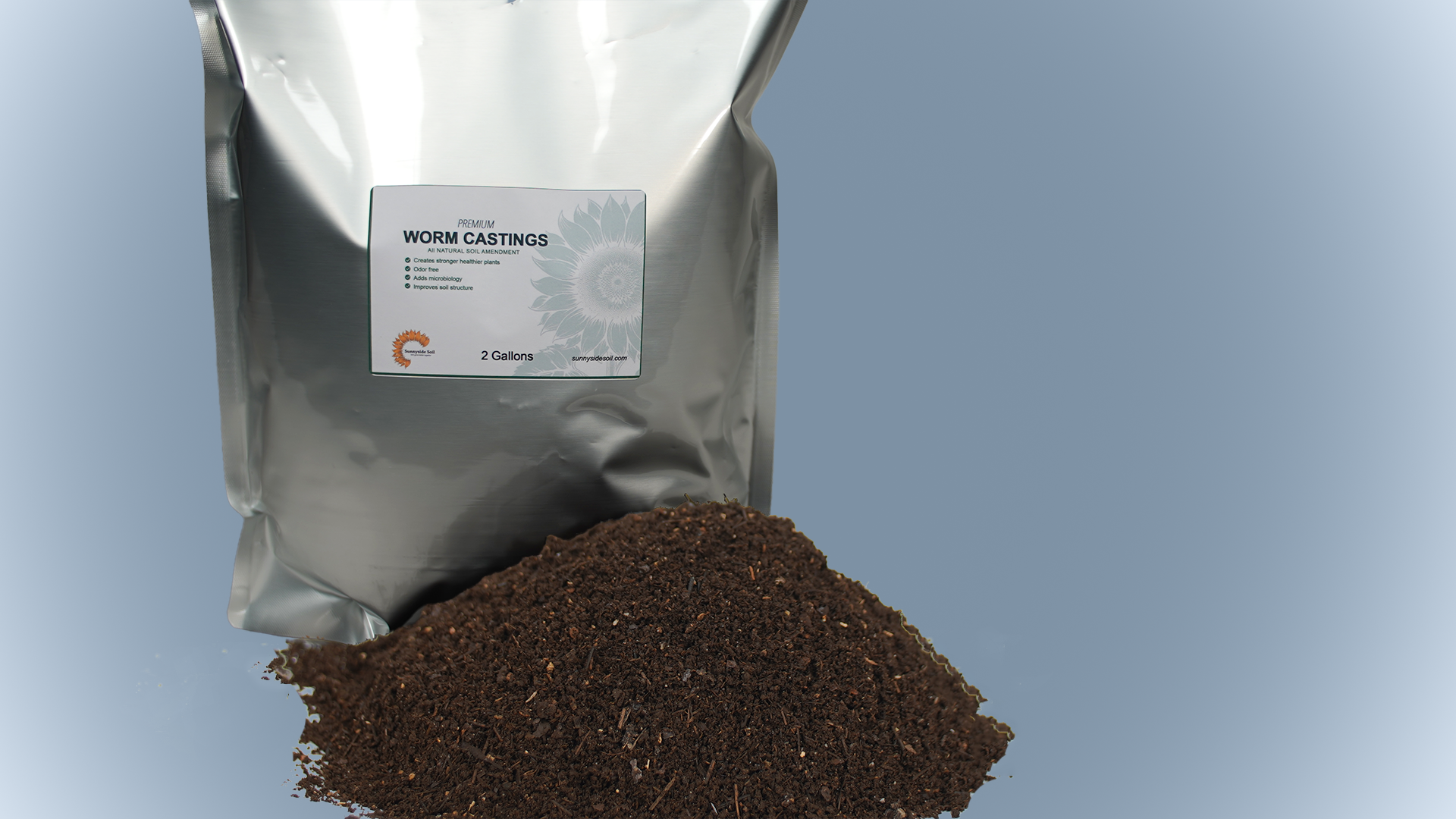 2 gallon casting product shot.png