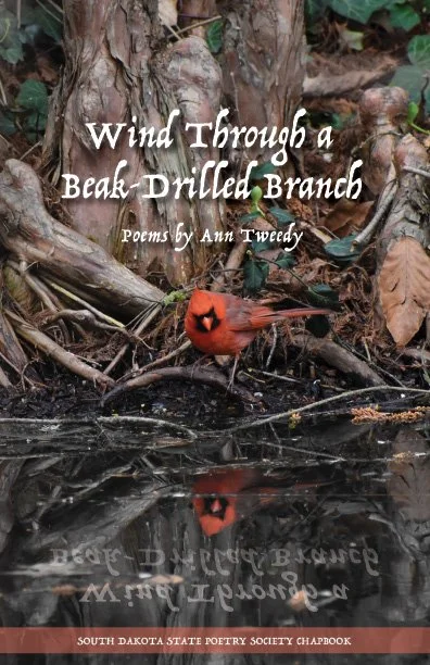 WtABDB_Cover_2026_Website.jpg