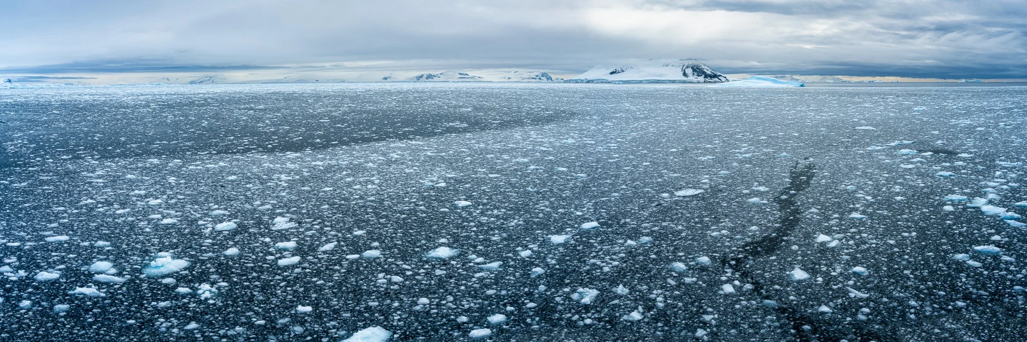 Antarctic Waterscape.jpg
