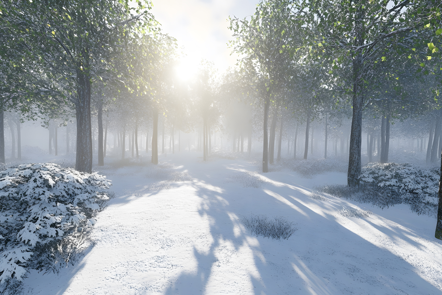 Releasing the Heavy Things So You Can Move Forward Lighter