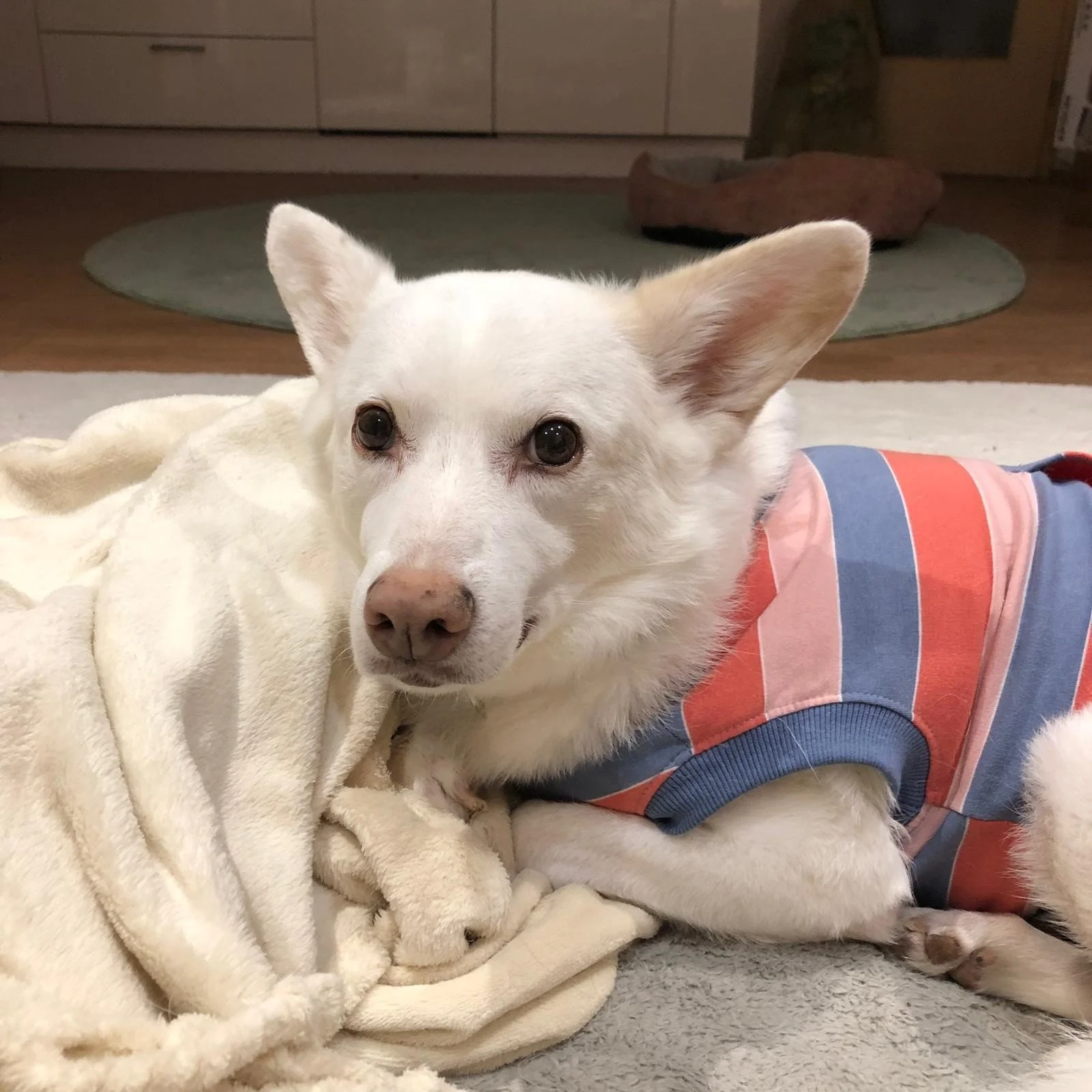 A Quiet Month, a Tender Season, and Coming Back Gently