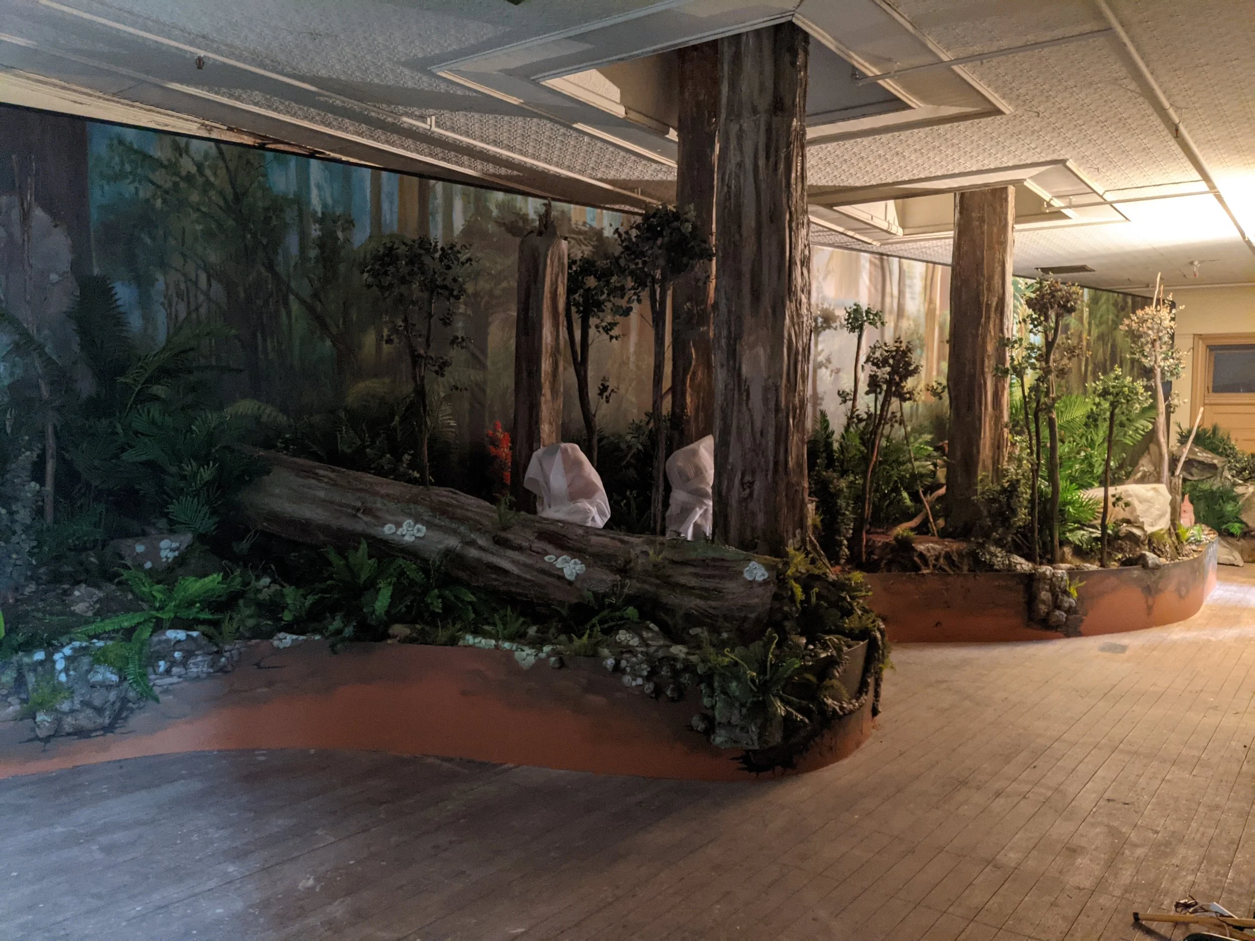 PXL_20210514_052735822 (1).jpg