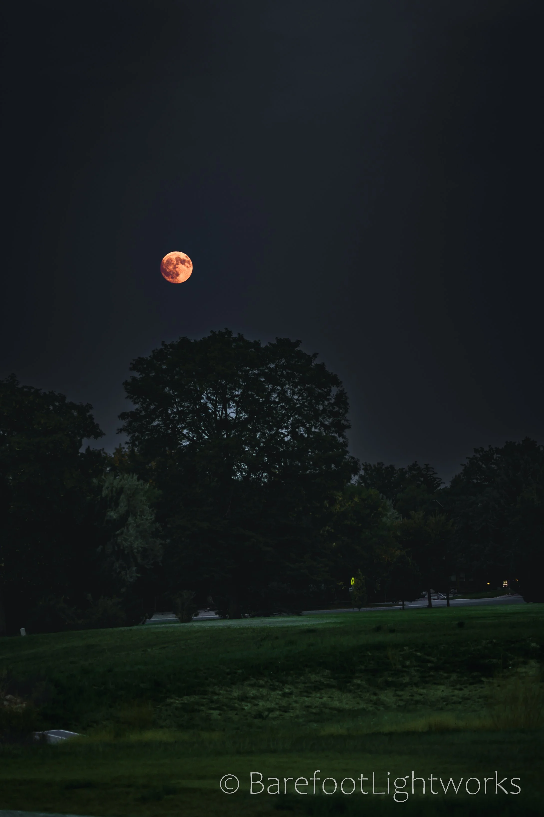 NLTL2025 - Barefoot Lightworks-22.jpg