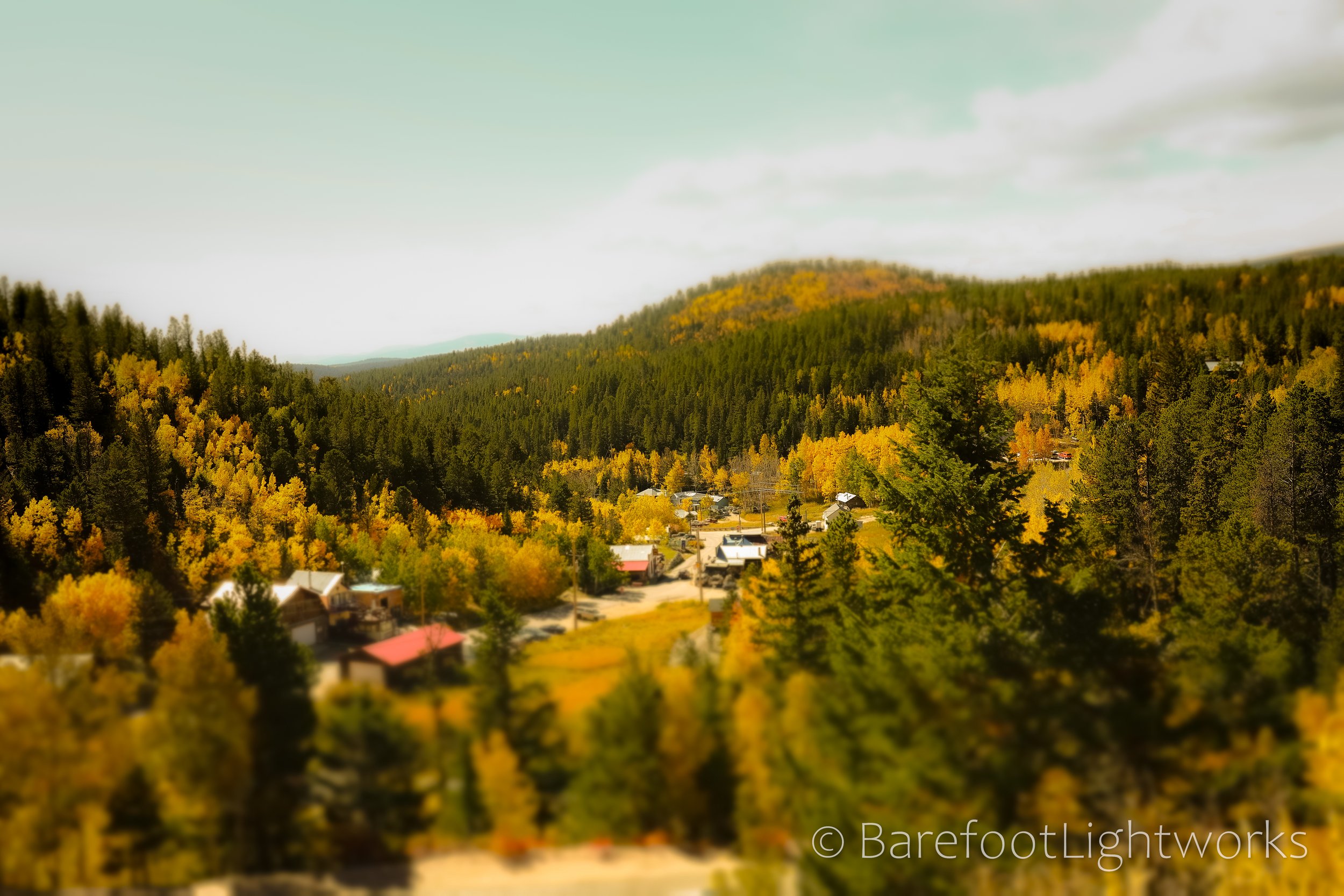 NLTL2025 - Barefoot Lightworks-28.jpg