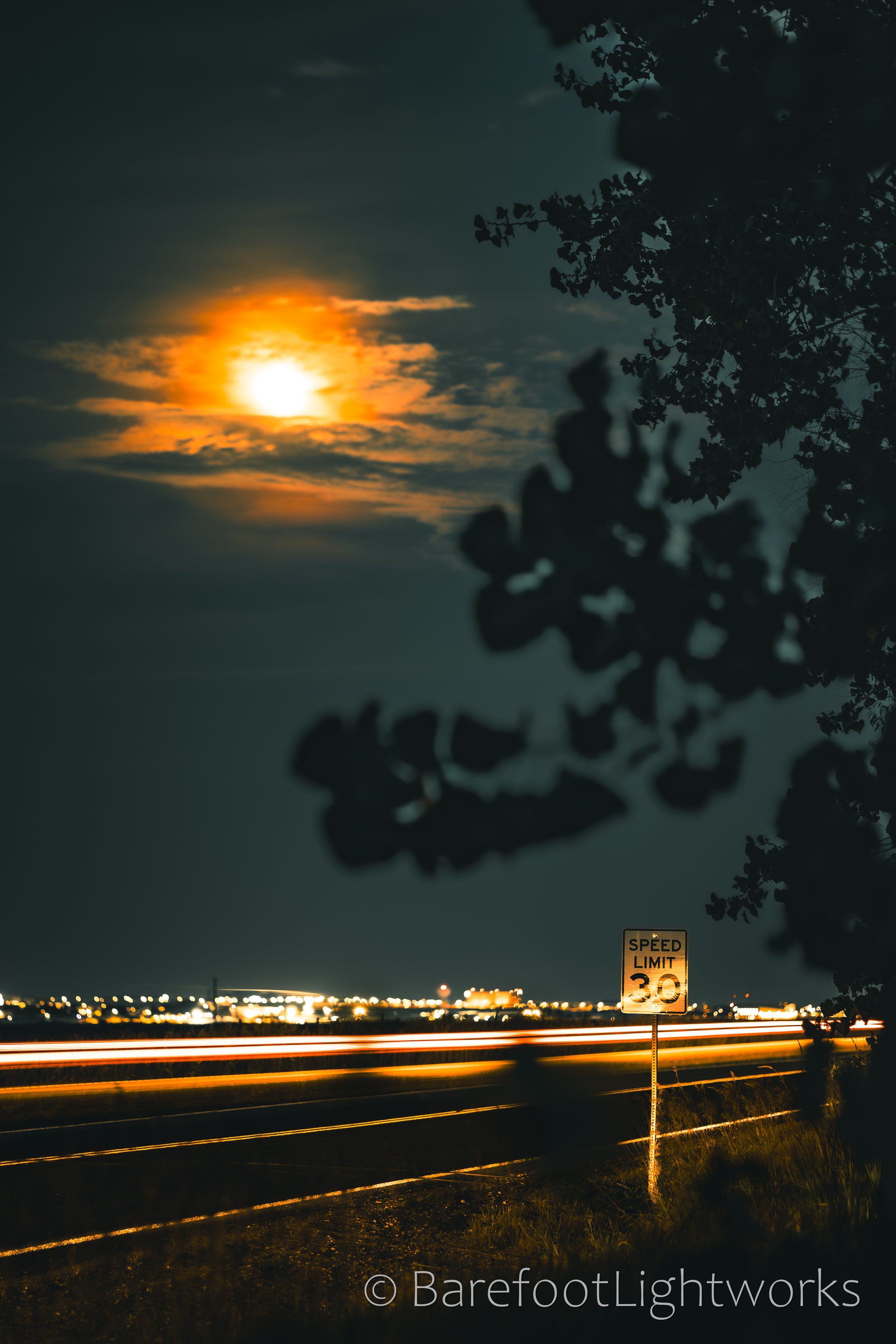 NLTL2025 - Barefoot Lightworks-23.jpg