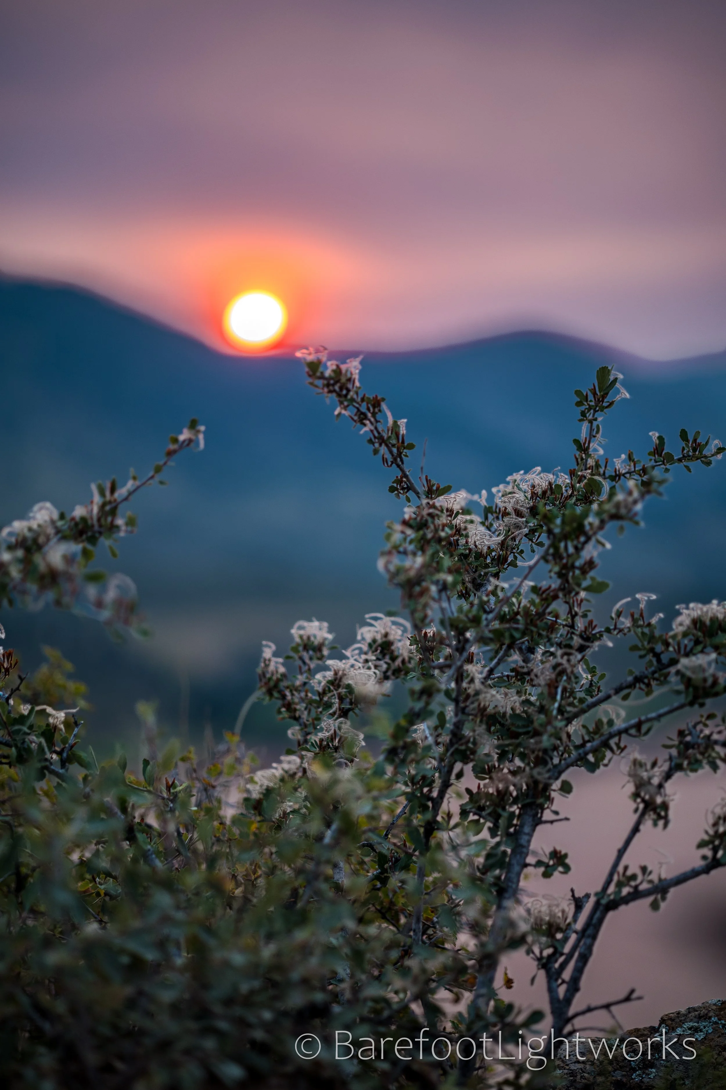 NLTL2025 - Barefoot Lightworks-15.jpg