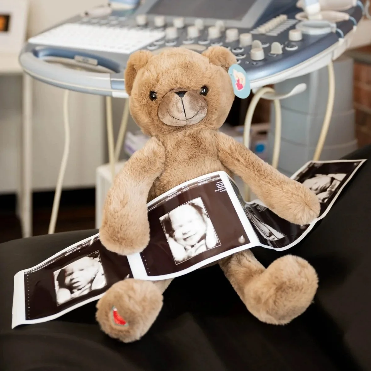 Heartbeat teddy bear holding printed prenatal ultrasound photos inside an elective ultrasound studio.