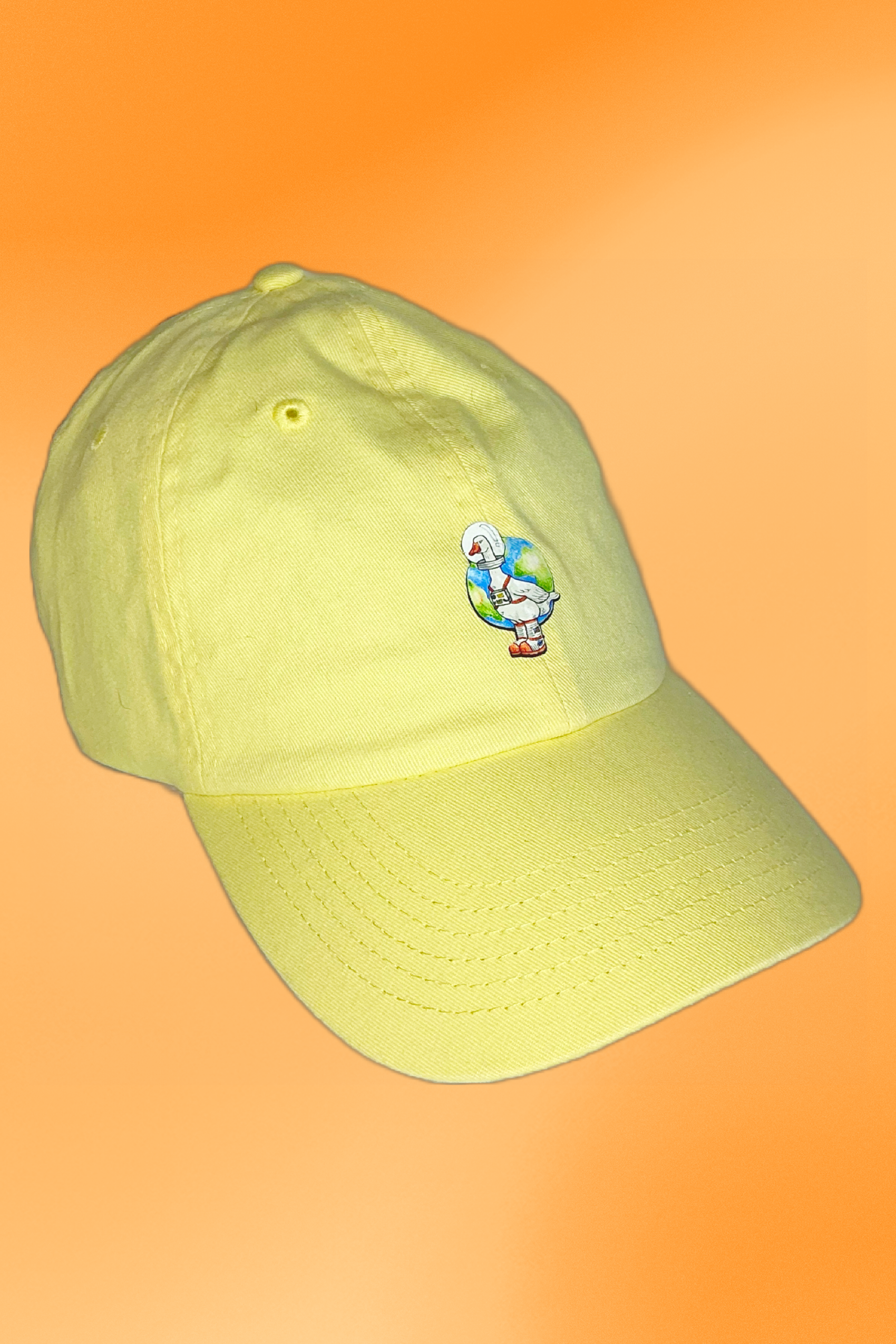 55911E6F-93DC-4F5C-BB4D-16877E768A09.png