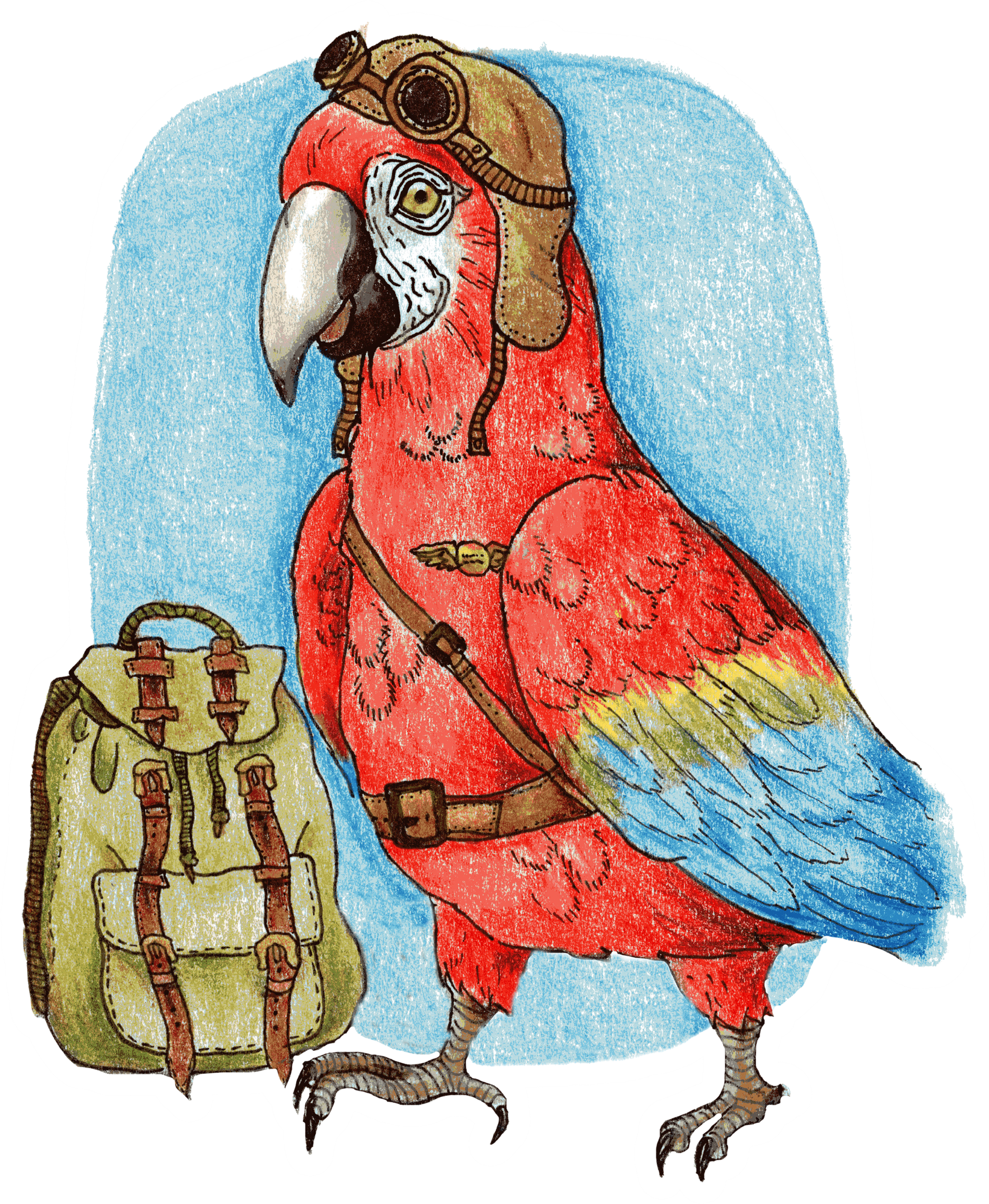 aviatorparrot.png