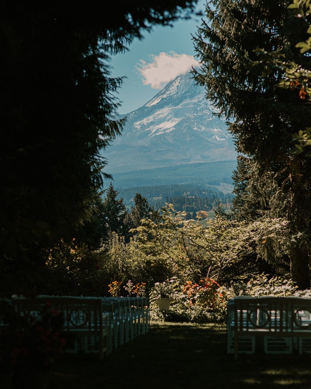 Hey PNW couples, let's paint a picture: your 'I do's framed by the awe-inspiring beauty of Mount Hood! 🏔️💕 Imagine saying your vows with that majestic peak as your backdrop, adding a touch of PNW magic to your special day. Whether it's the misty al