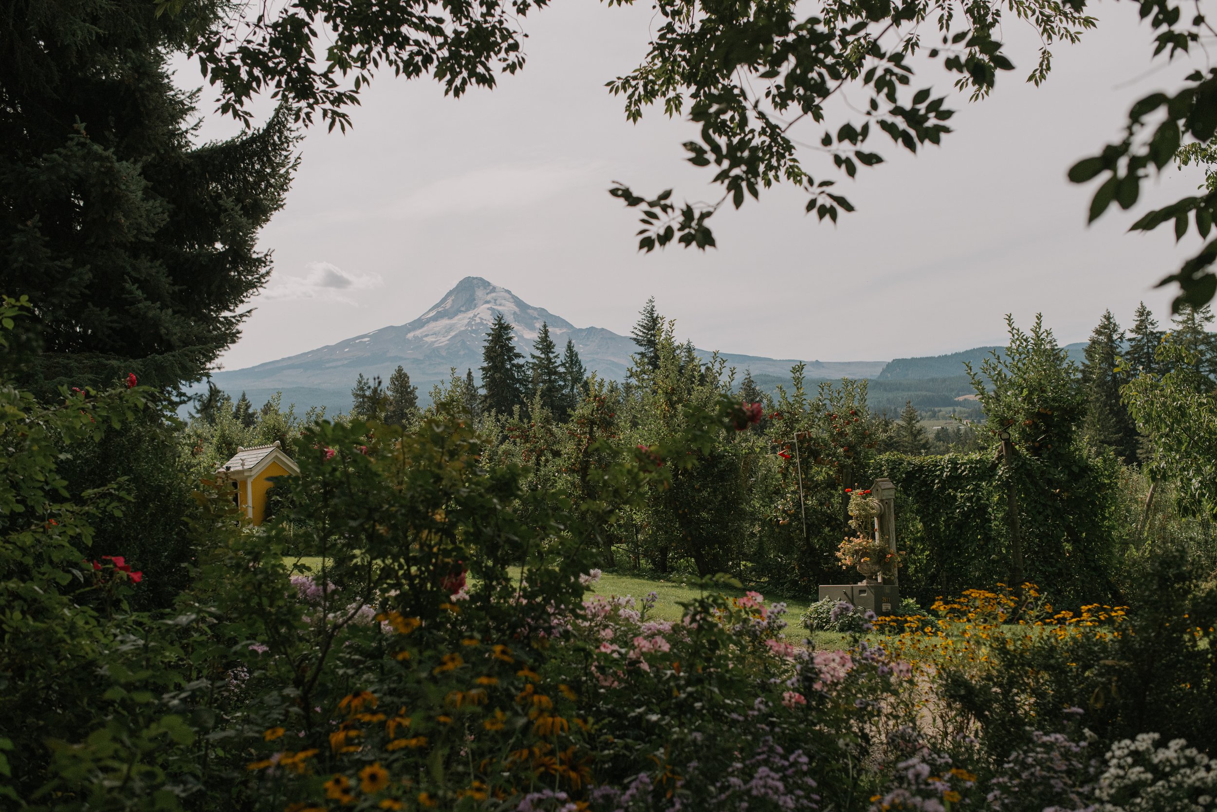 View of Mt. Hood from Columbia River Gorge wedding venue, Mt. Hood Organic Farms.