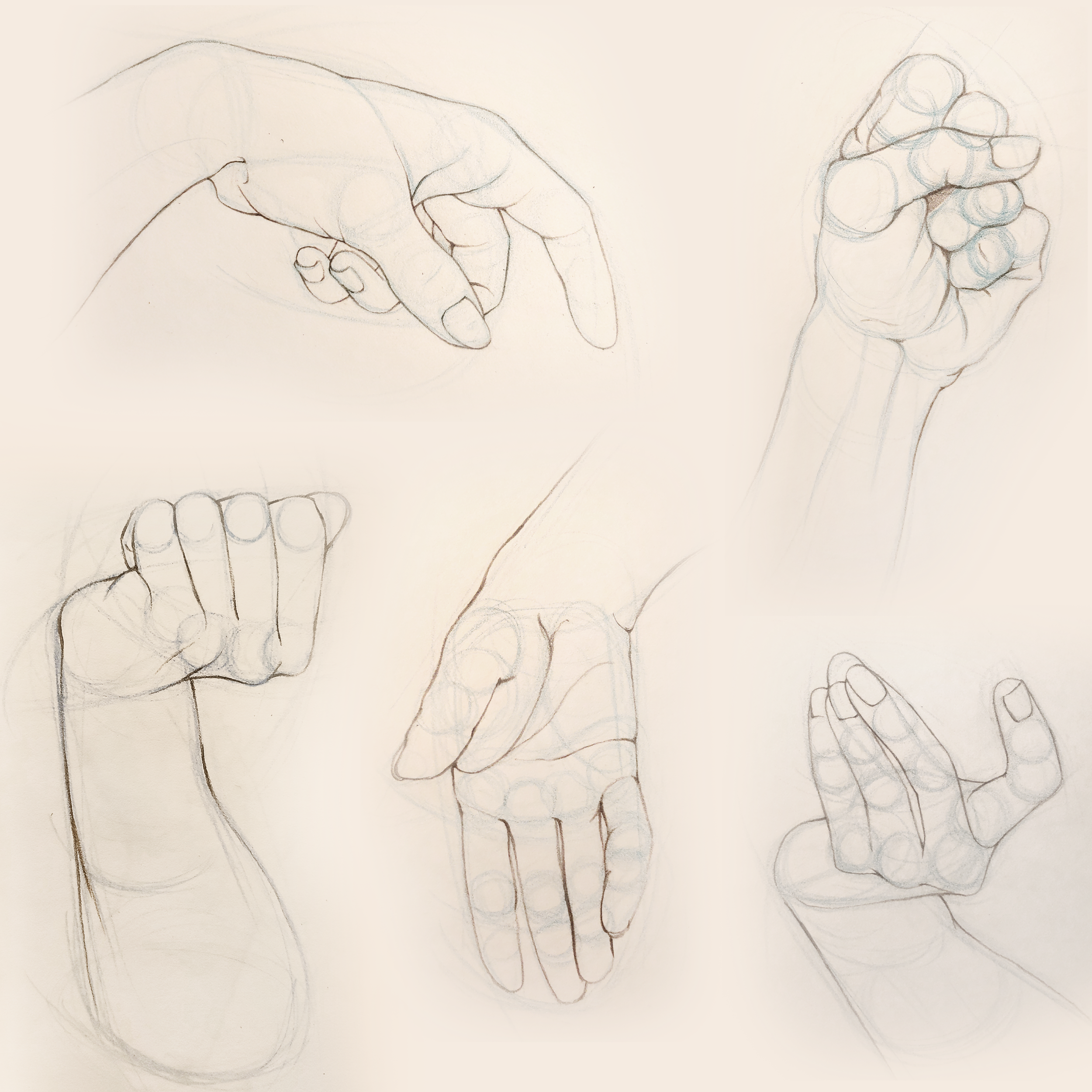 maggiedewar_hands.png