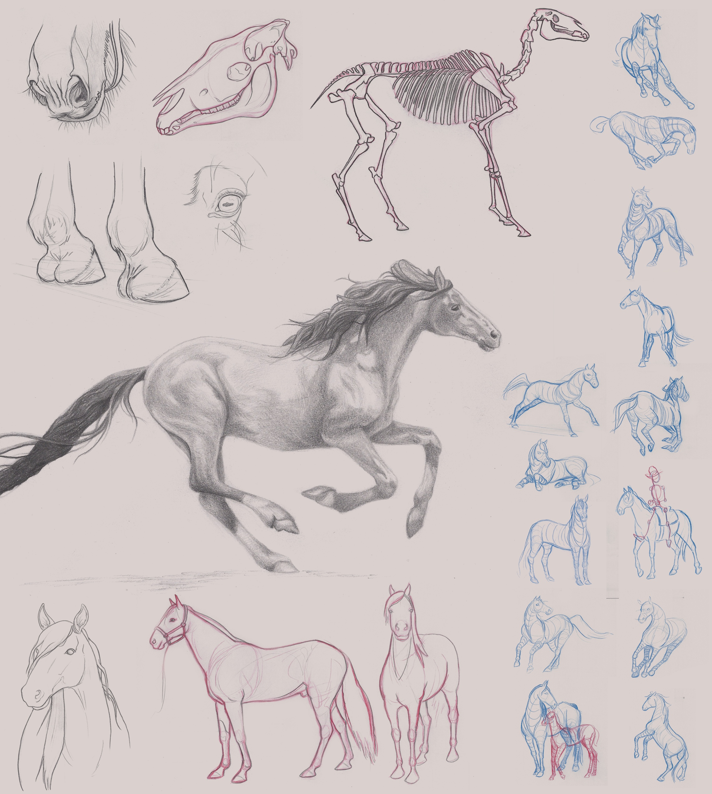 maggiedewar_horses.png
