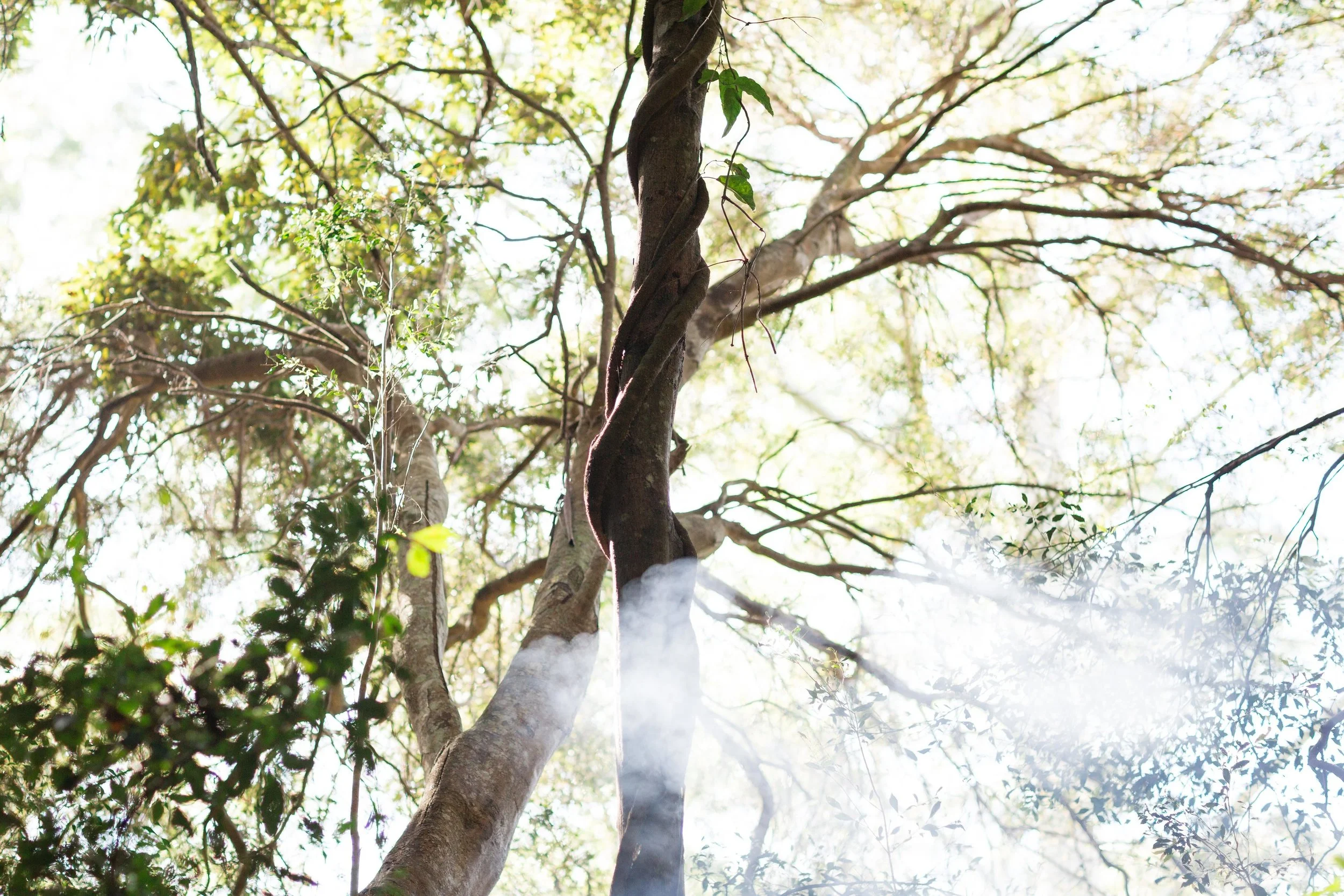 The Winter Vision Quest and the Power of Deep Listening