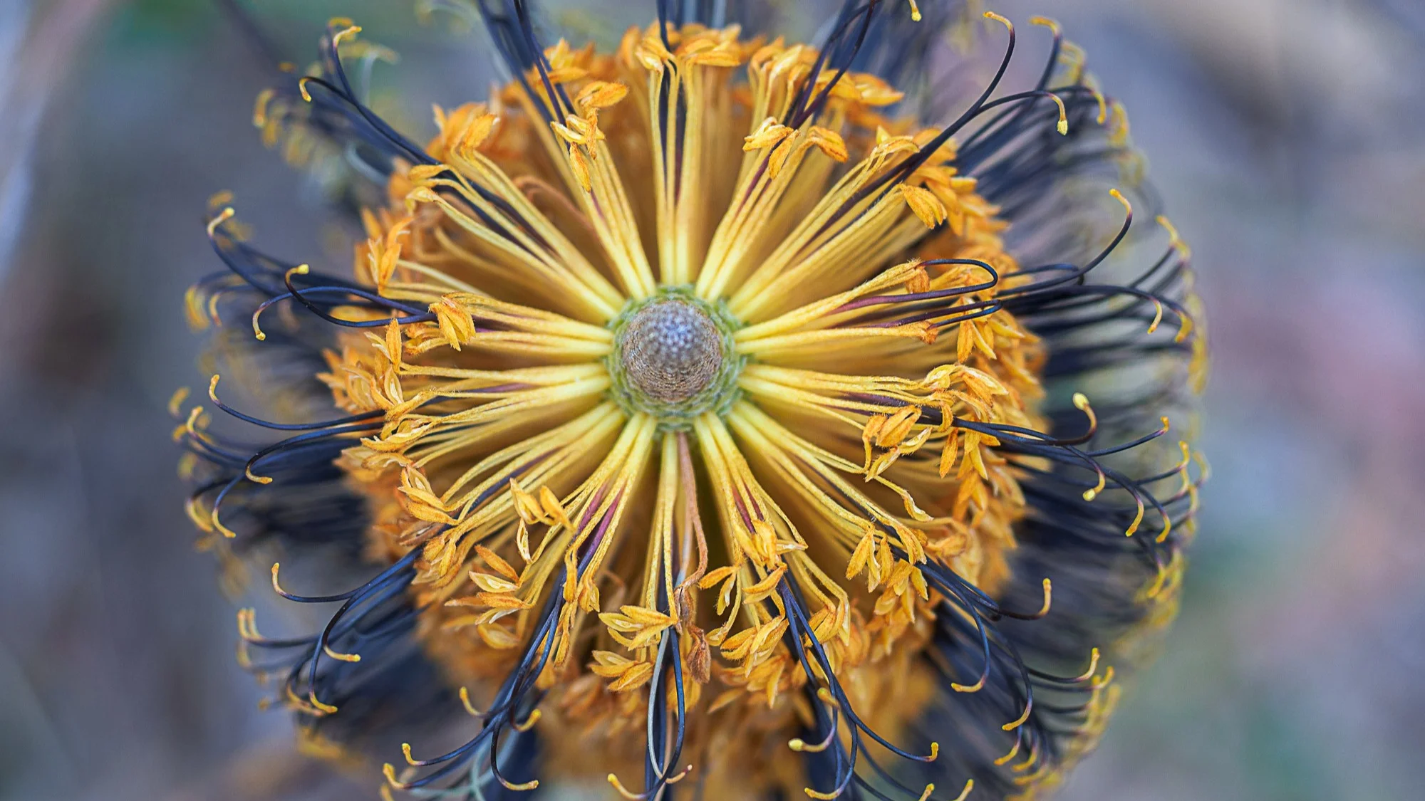 Tell your story &amp; WIN a FREE Nature ONE Program!