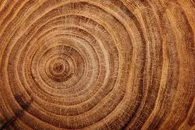 And the WINNER is...