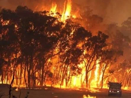 Yolngu Fire Advice &amp; NSW Emergency 