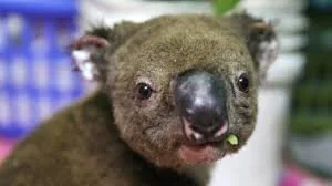 What a full on start to 2020! The grief of these times...