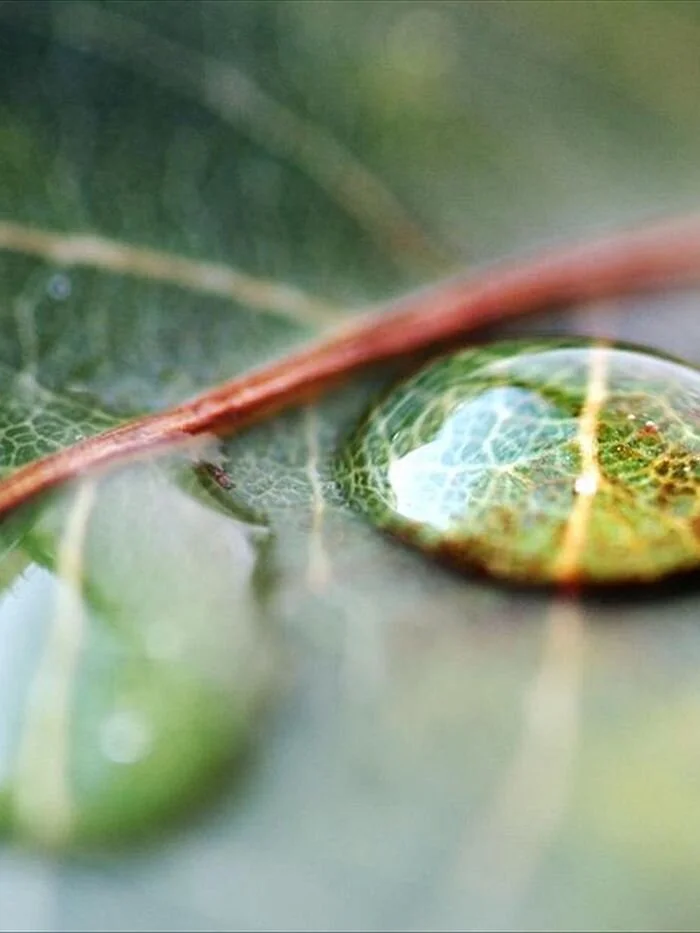 It never fails. And it happened AGAIN…