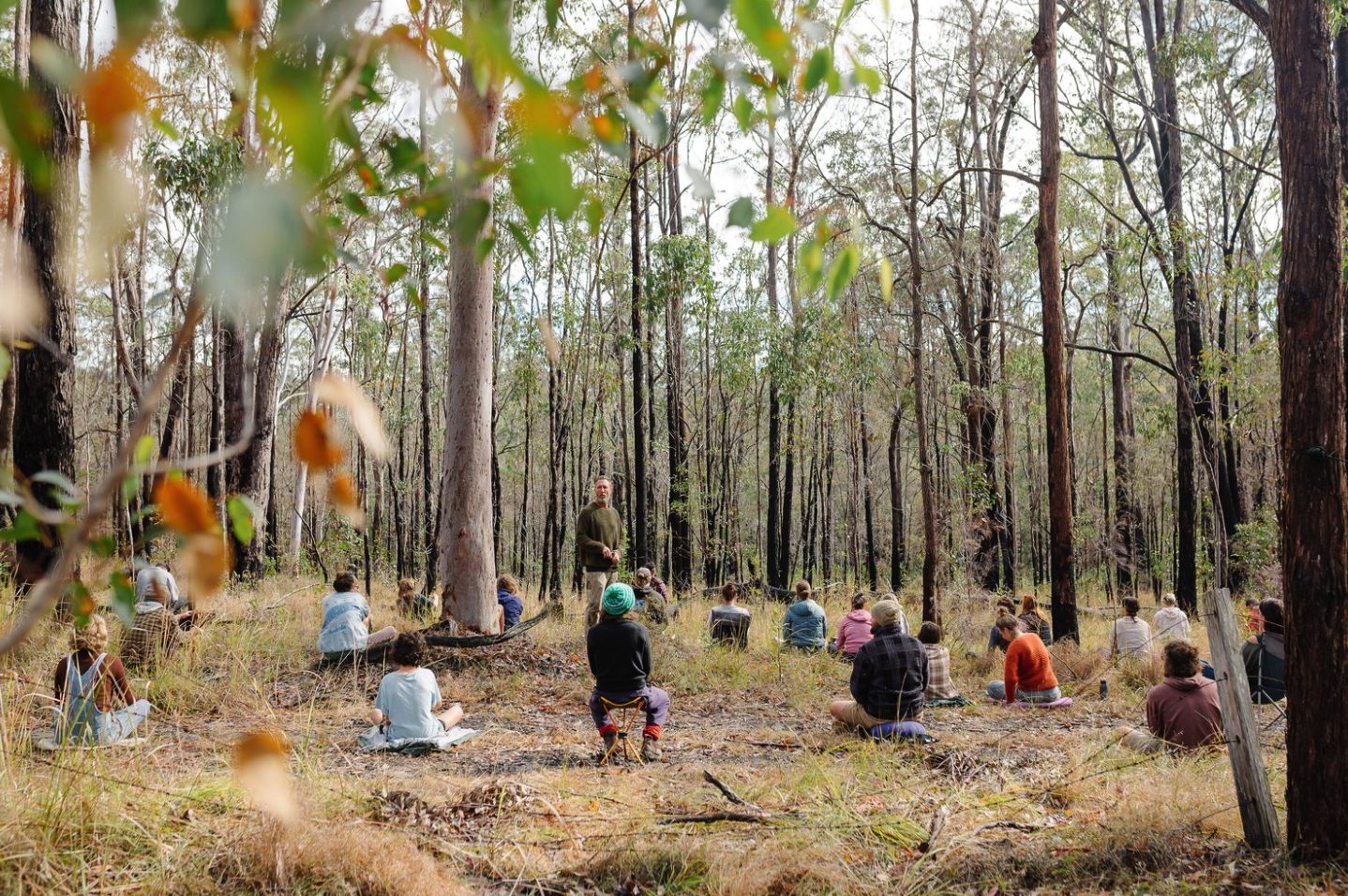 Vision Quest Sacred Healing Journey Rite Of Passage Nsw Nature