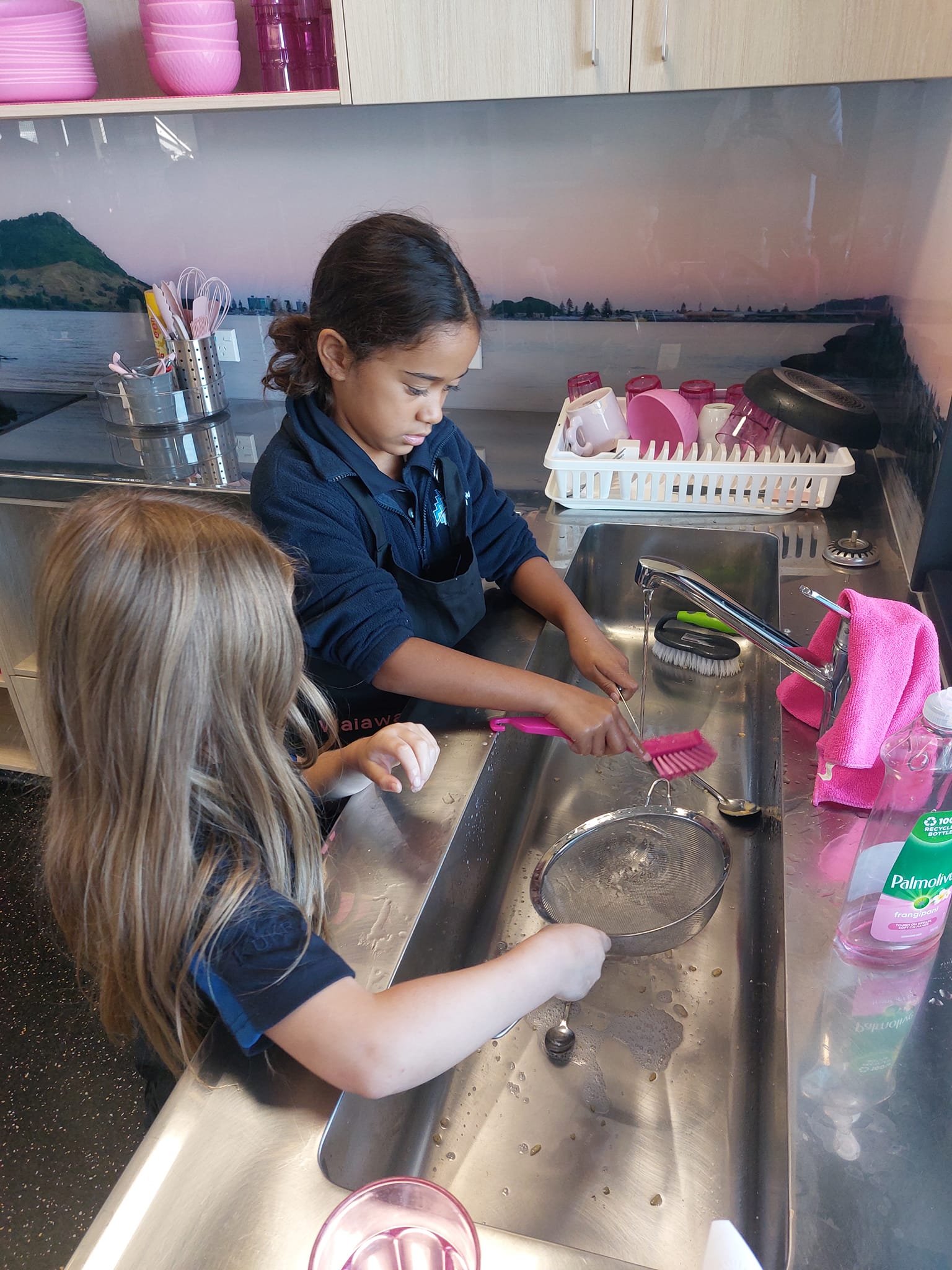 Two children washing dishes in a kitchen with a pink-themed decor, including a pink dish rack and detergent, beside a stainless steel sink.