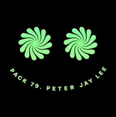 Peter Jay Lee | Art Director and Motion Designer